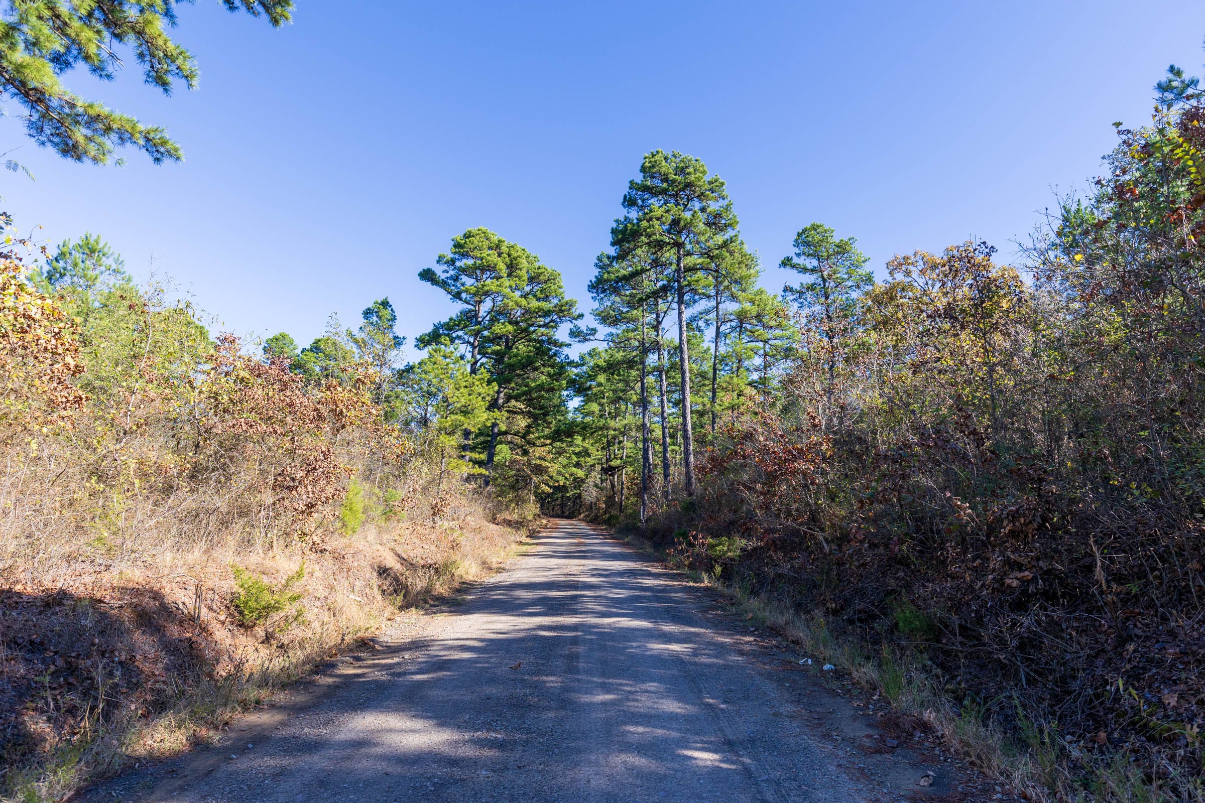 Stone Bridge Reserve Tract 2 photo 7