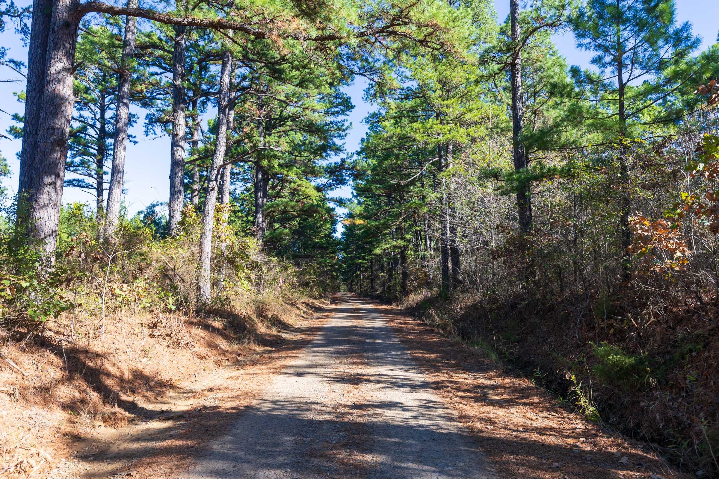 Stone Bridge Reserve Tract 2 photo 2