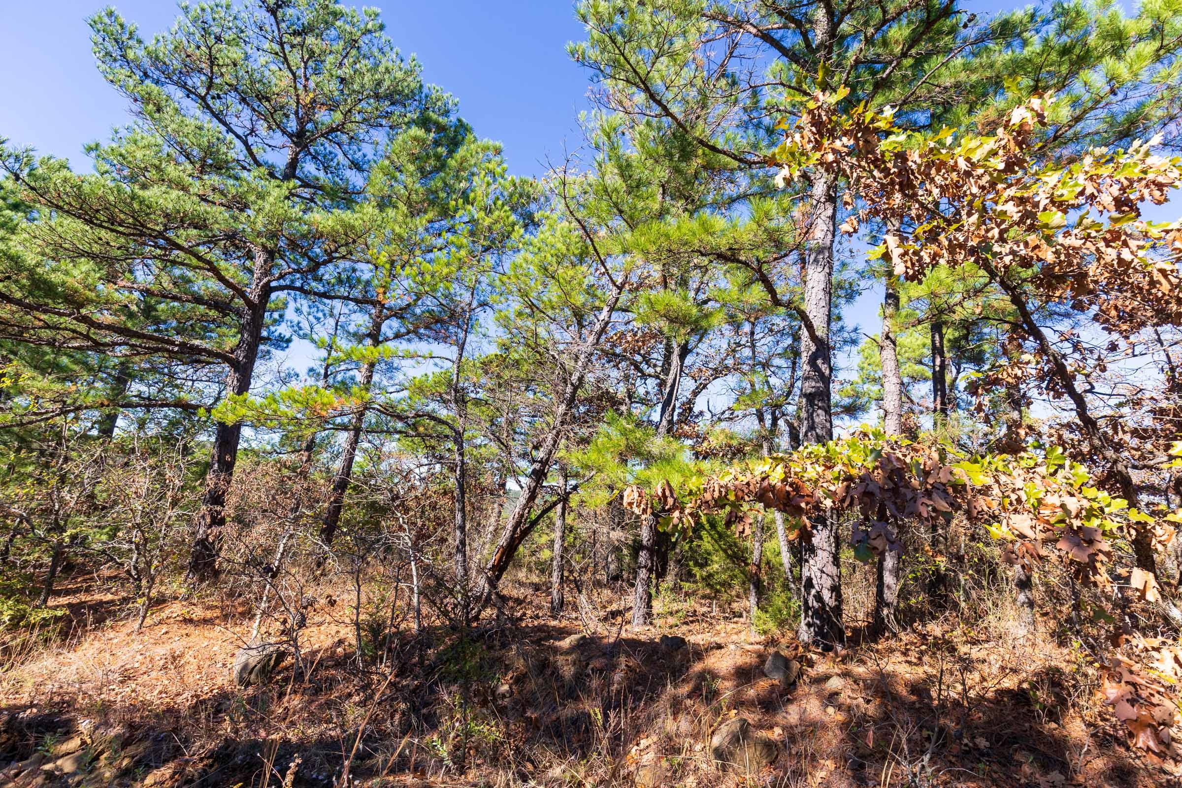 Stone Bridge Reserve Tract 2 photo 10