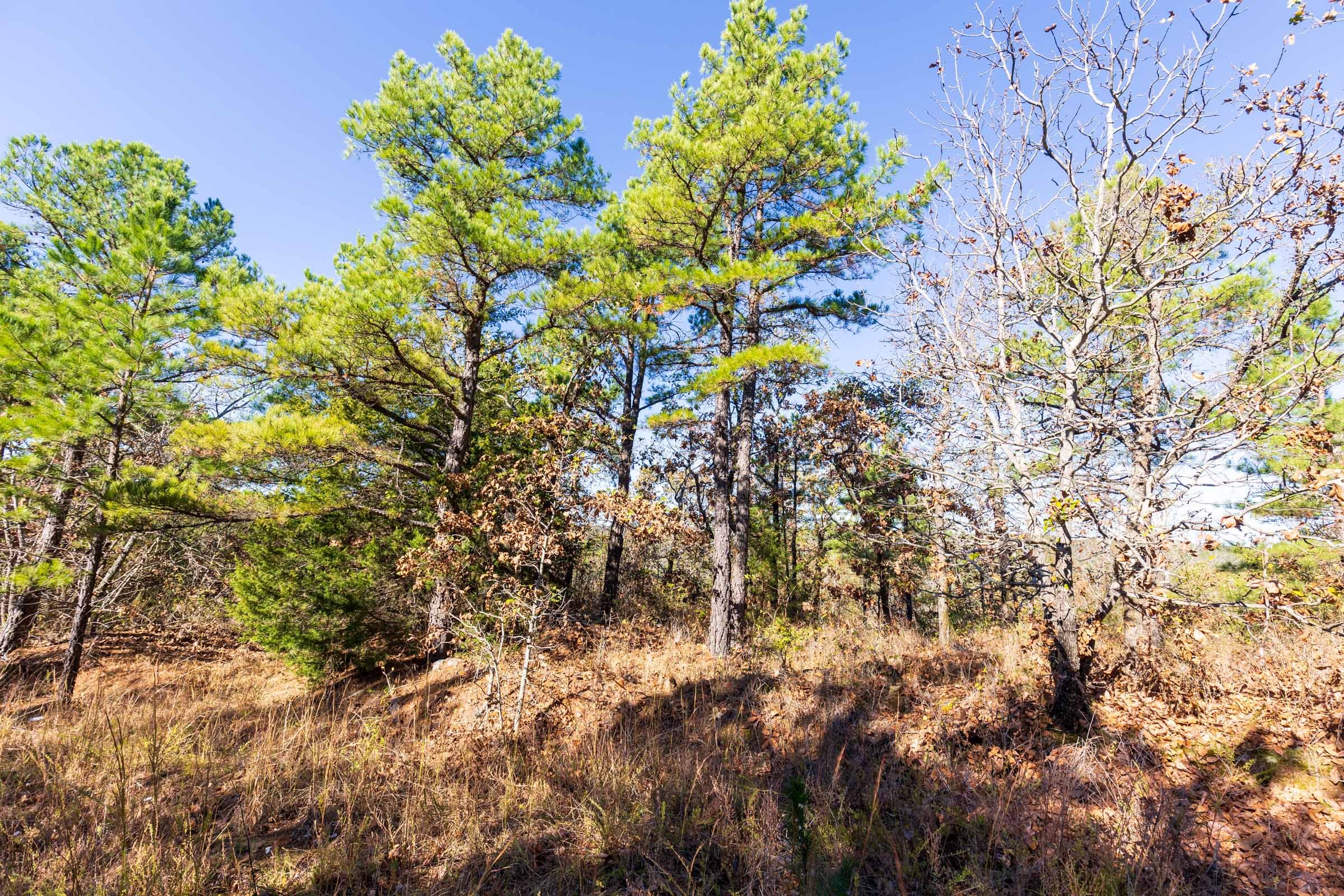 Stone Bridge Reserve Tract 2 photo 8