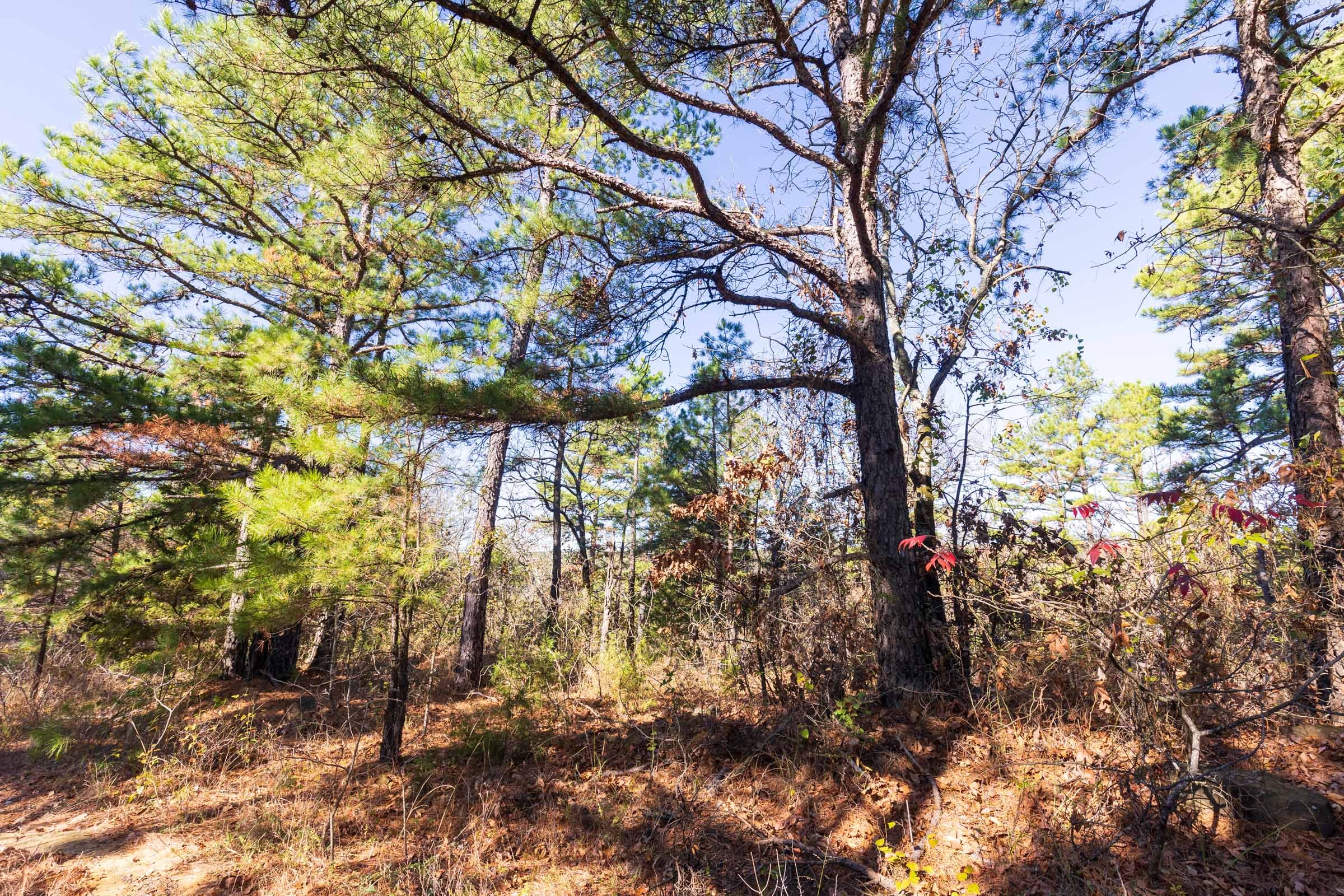Stone Bridge Reserve Tract 2 photo 6
