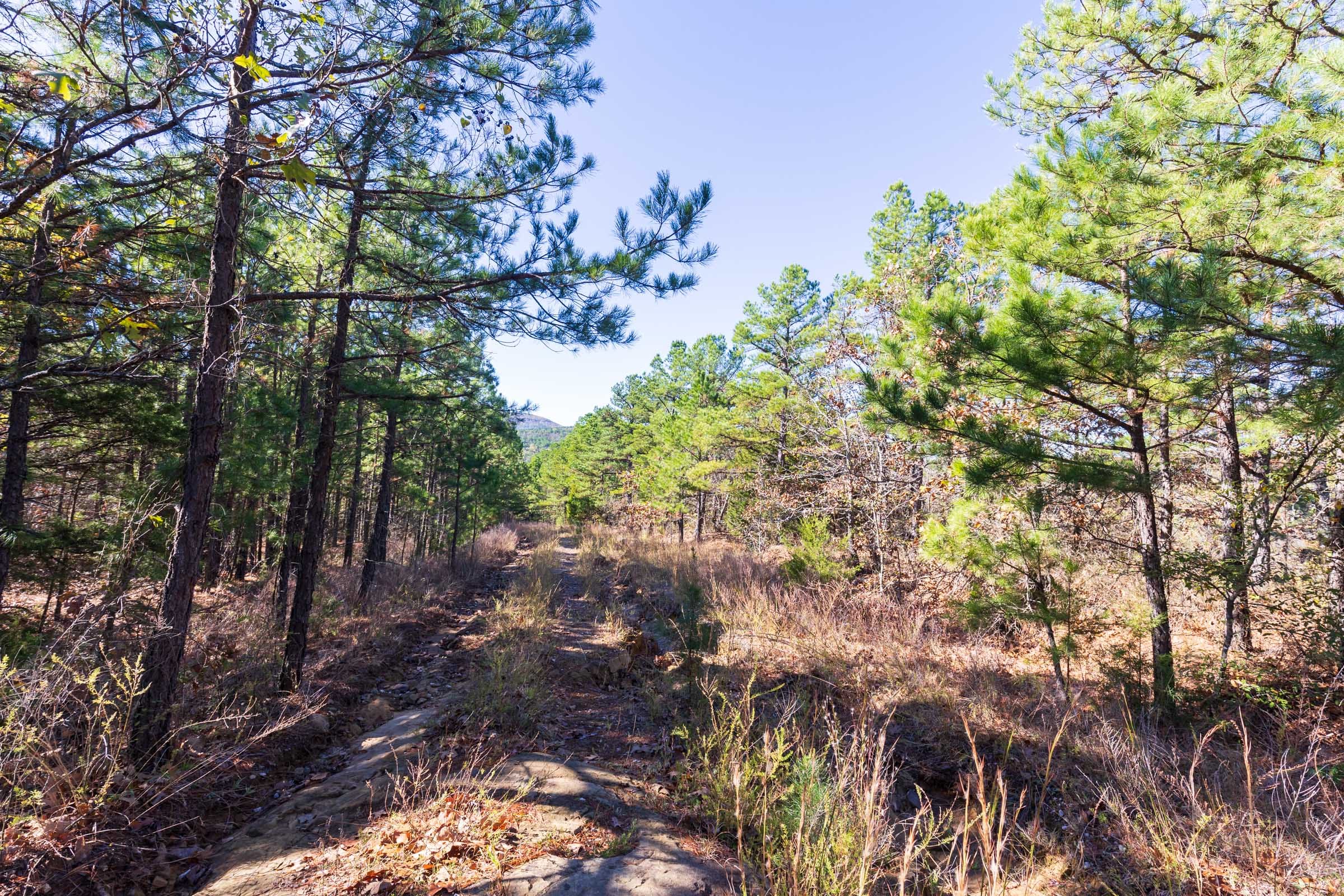 Stone Bridge Reserve Tract 2 photo 5