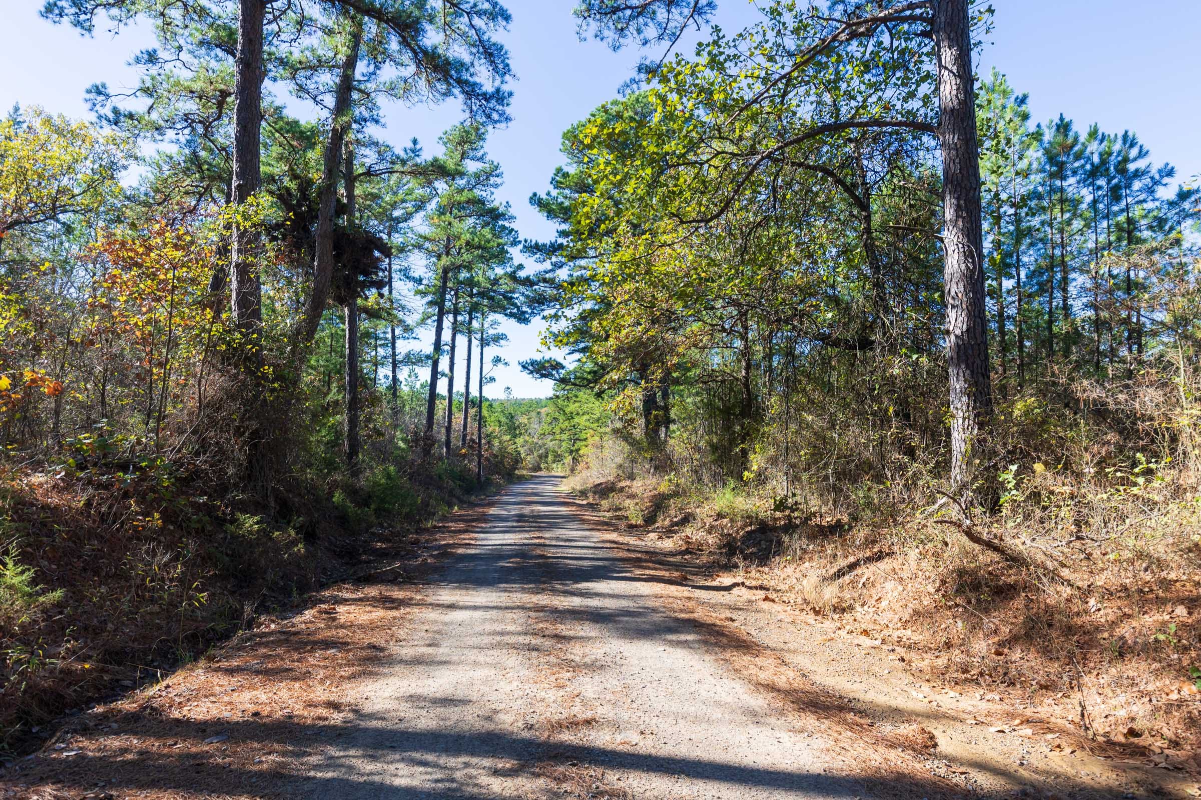 Stone Bridge Reserve Tract 2 photo 1