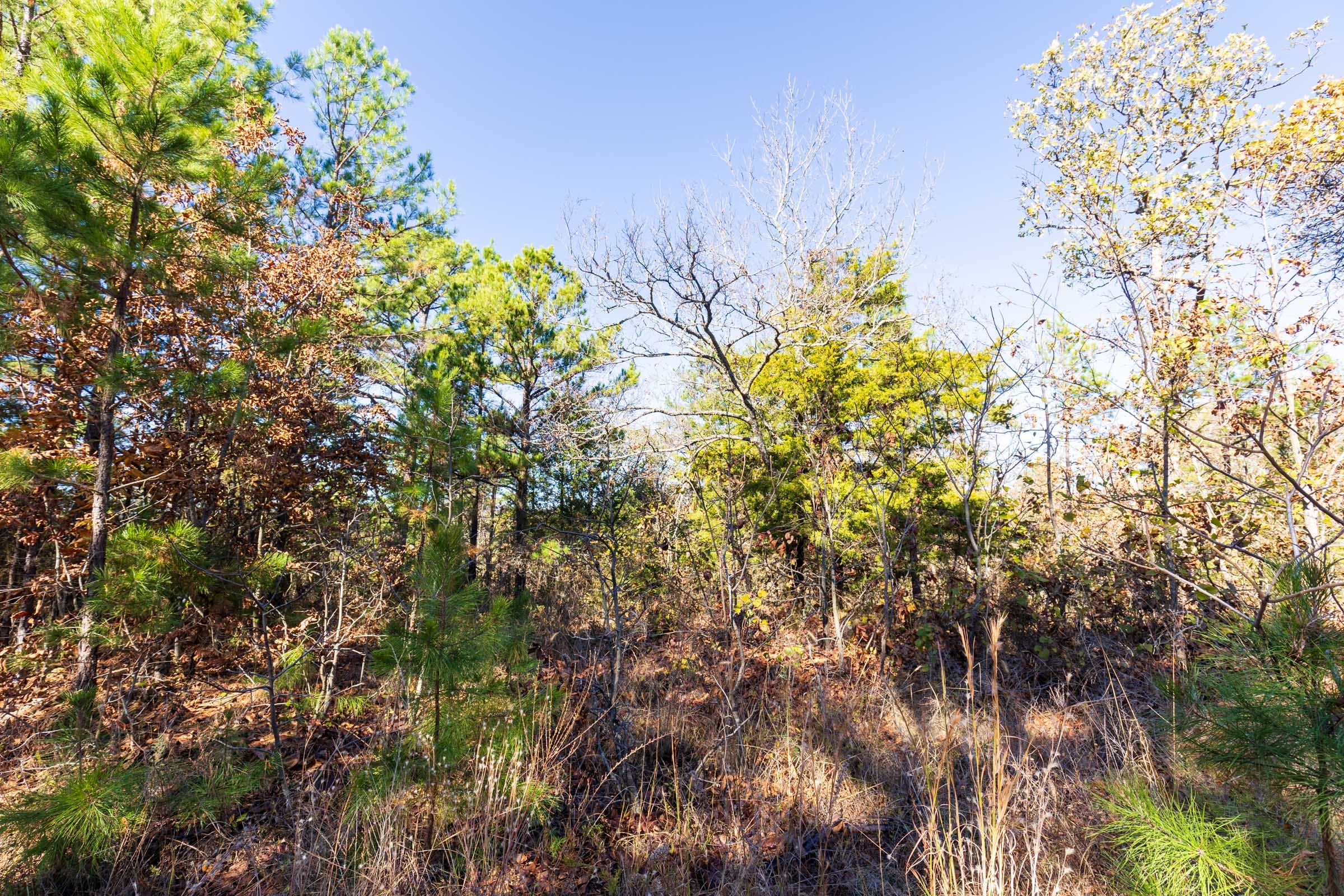 Stone Bridge Reserve Tract 2 photo 4