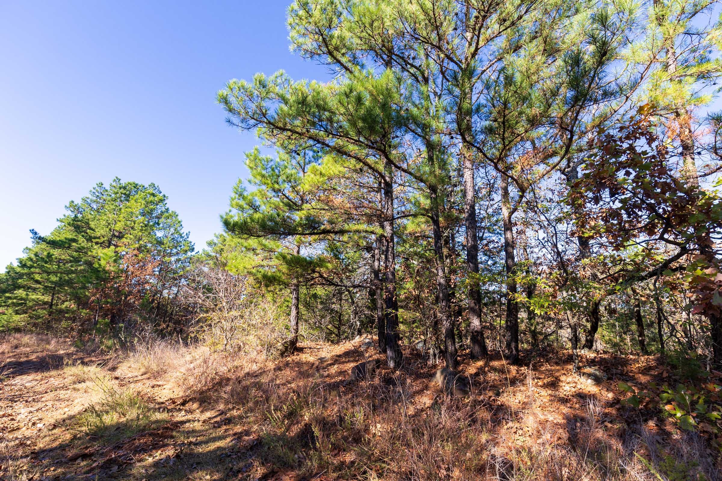 Stone Bridge Reserve Tract 2 photo 3