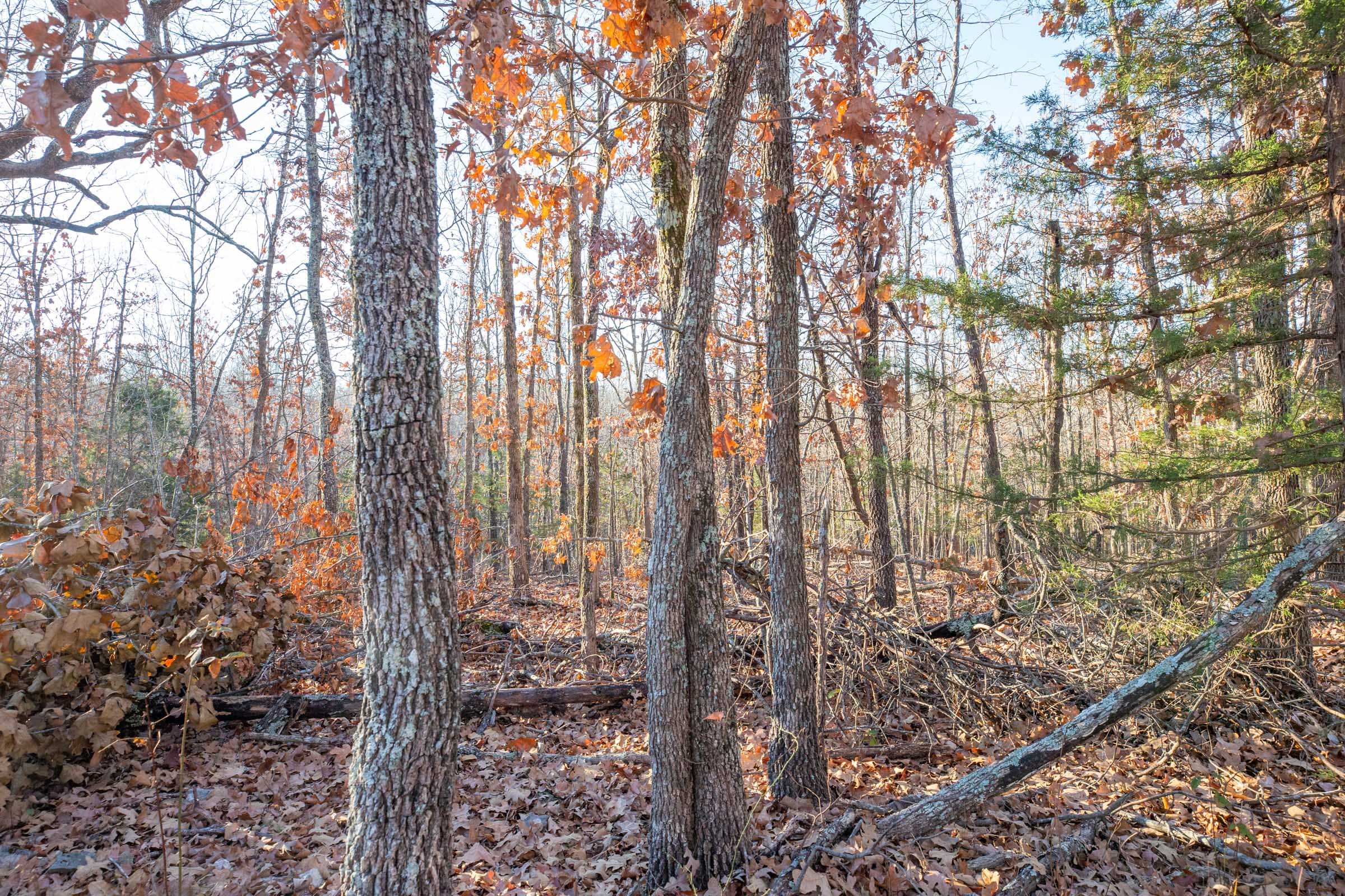 Dutchman Hollow Tract 8 photo 1