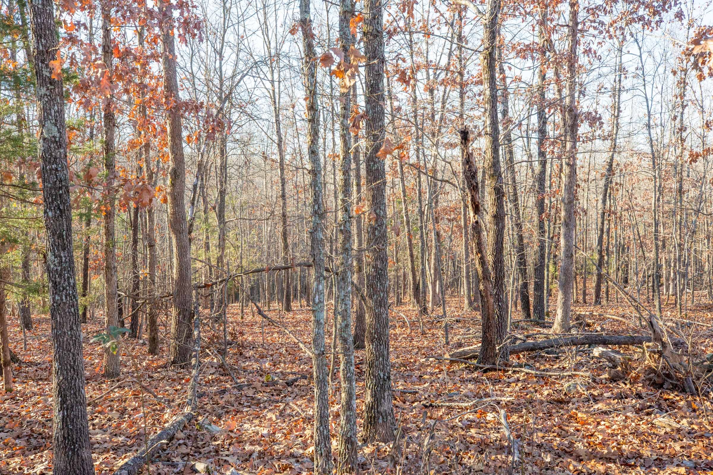 Dutchman Hollow Tract 8 photo 4