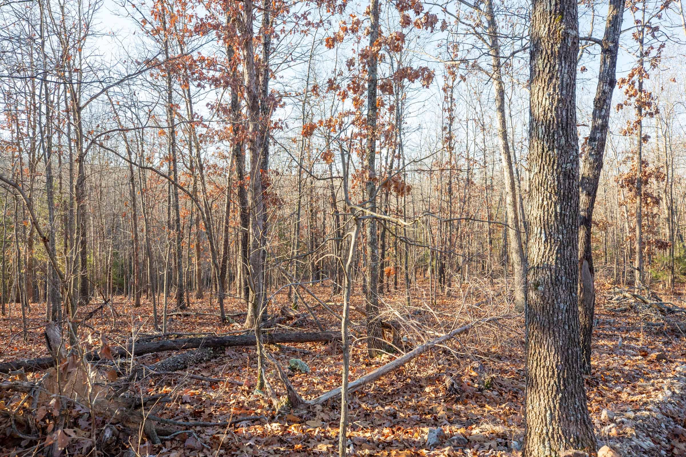 Dutchman Hollow Tract 8 photo 5