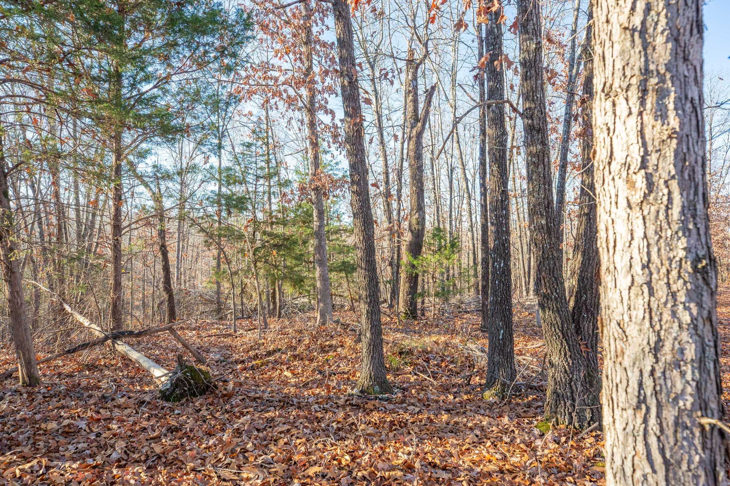 Dutchman Hollow Tract 8 photo 11