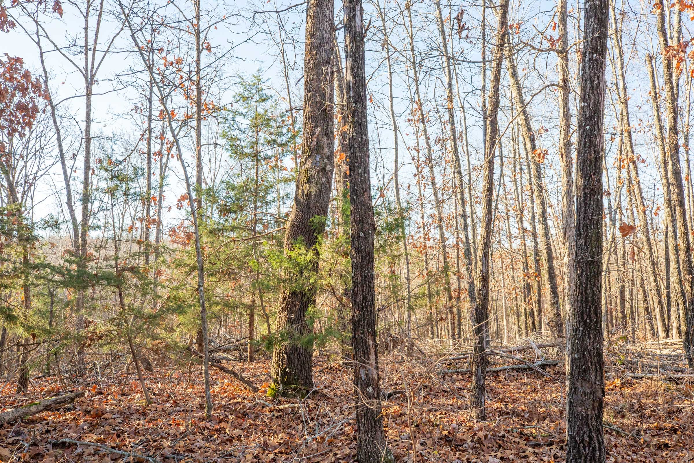 Dutchman Hollow Tract 8 photo 12