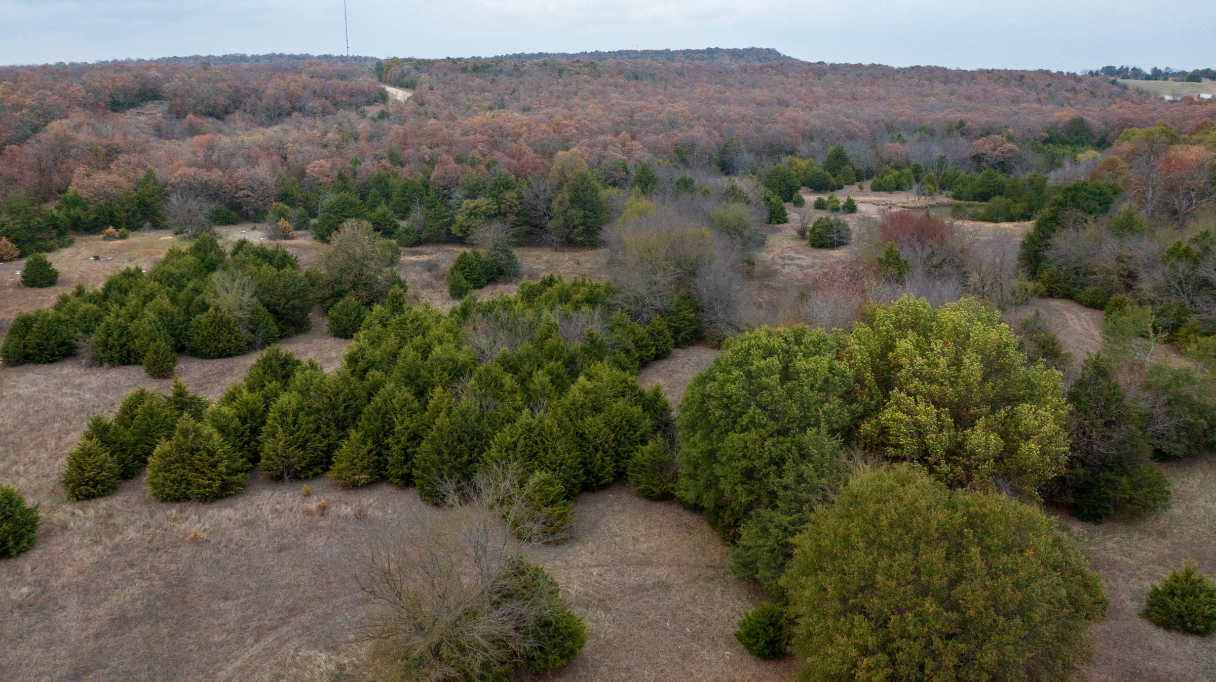 Crystal Springs Tract 6 photo 3