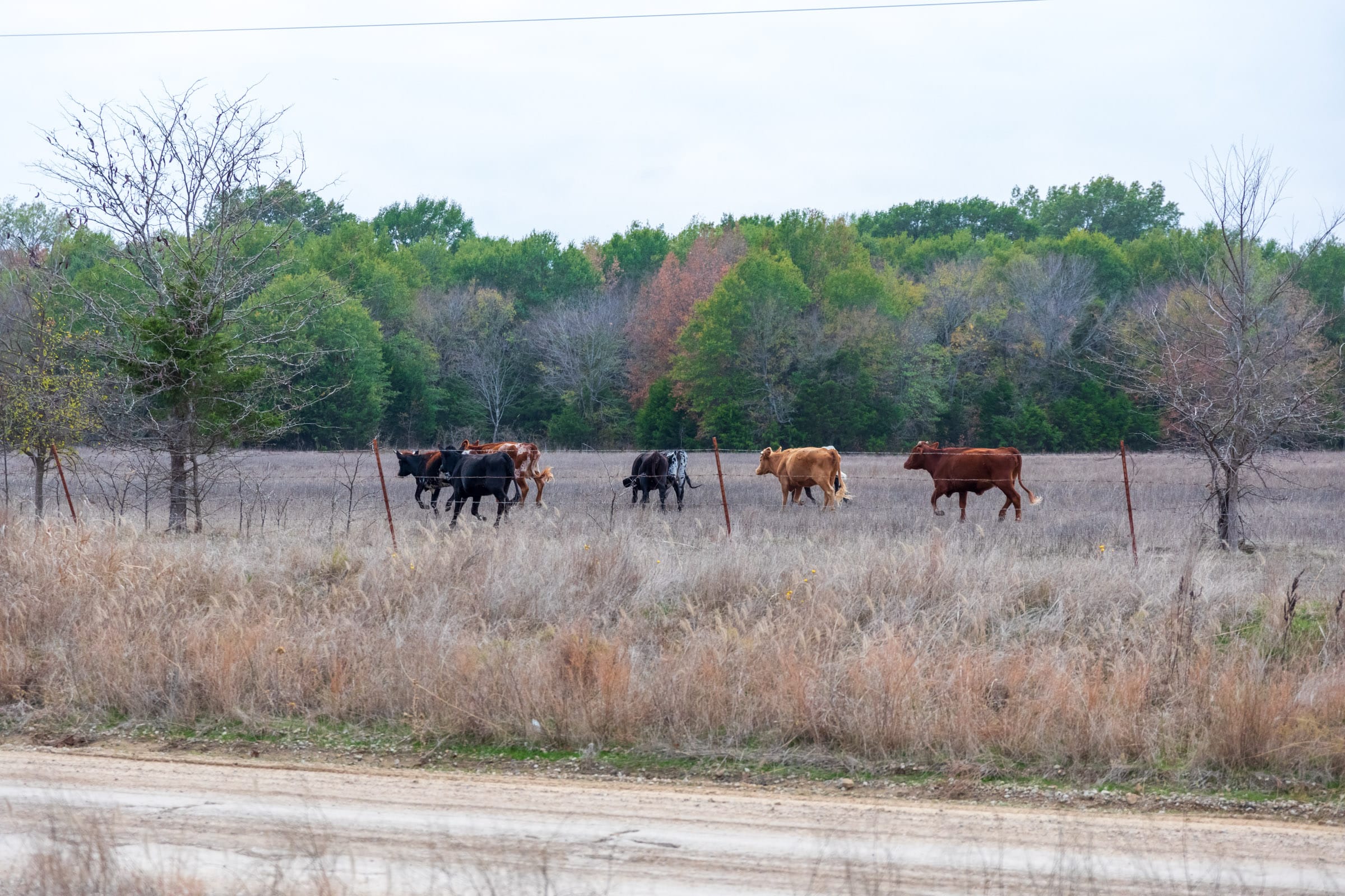 Crystal Springs Tract 6 photo 5