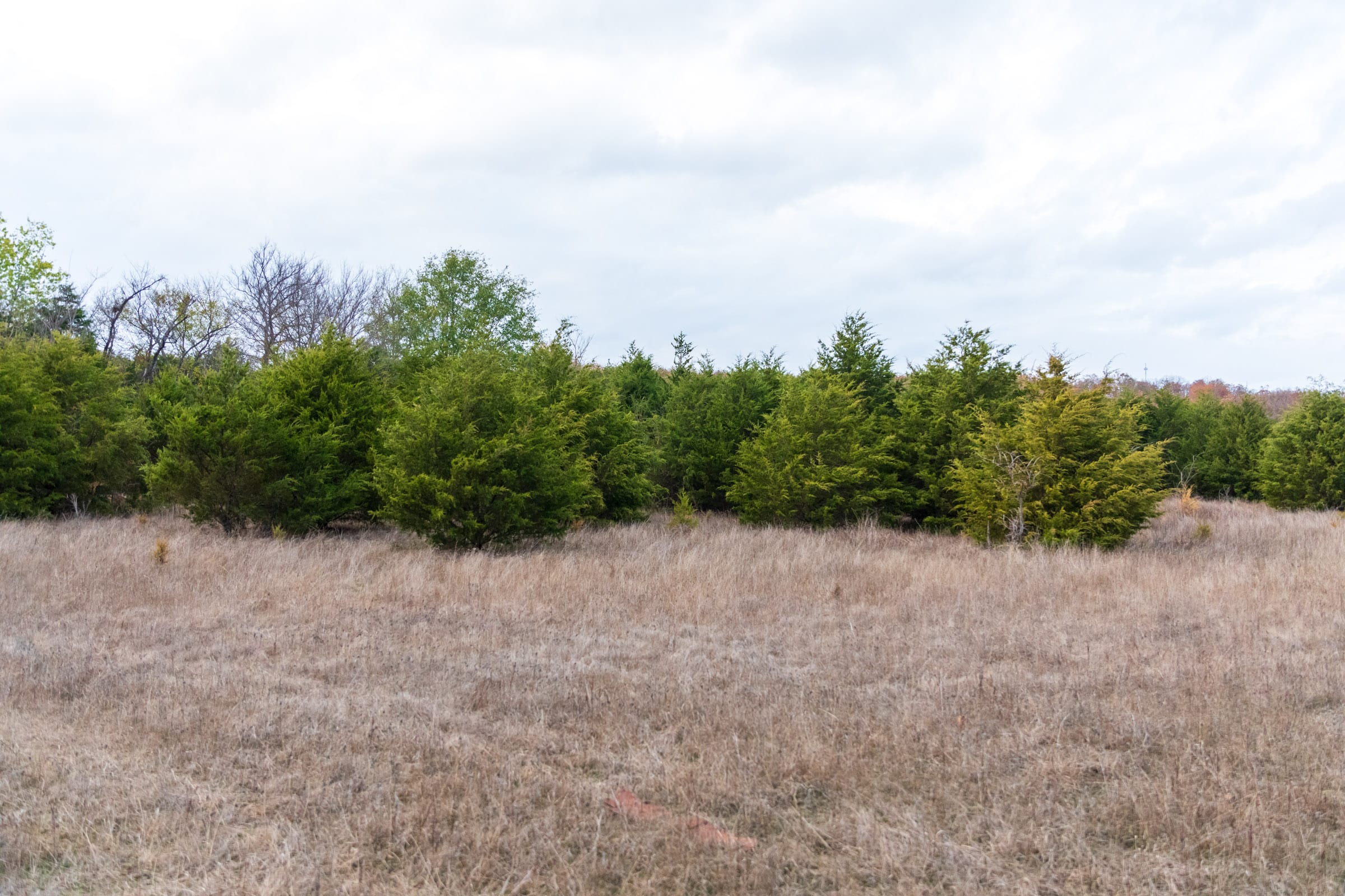 Crystal Springs Tract 6 photo 7