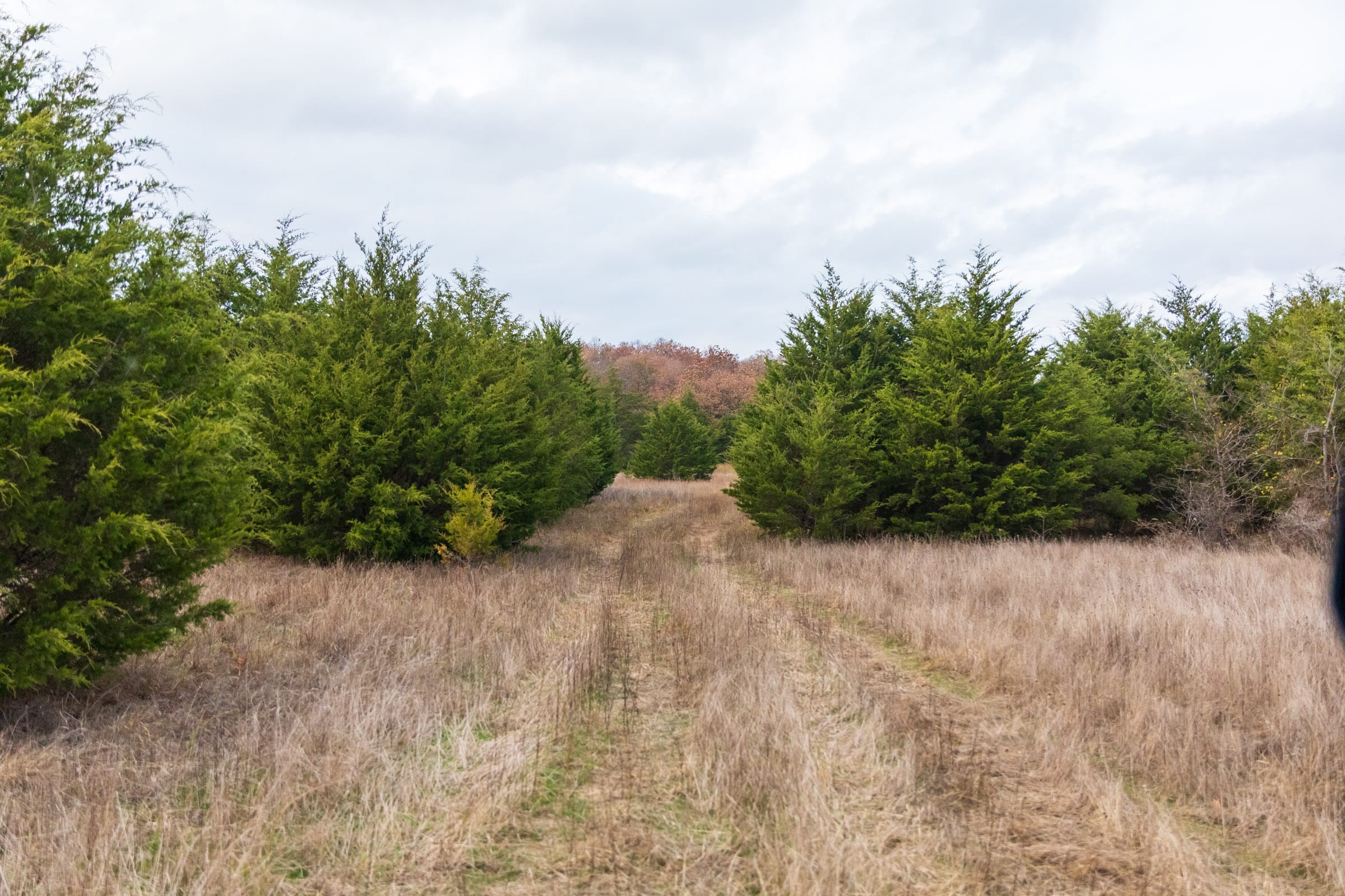 Crystal Springs Tract 6 photo 1