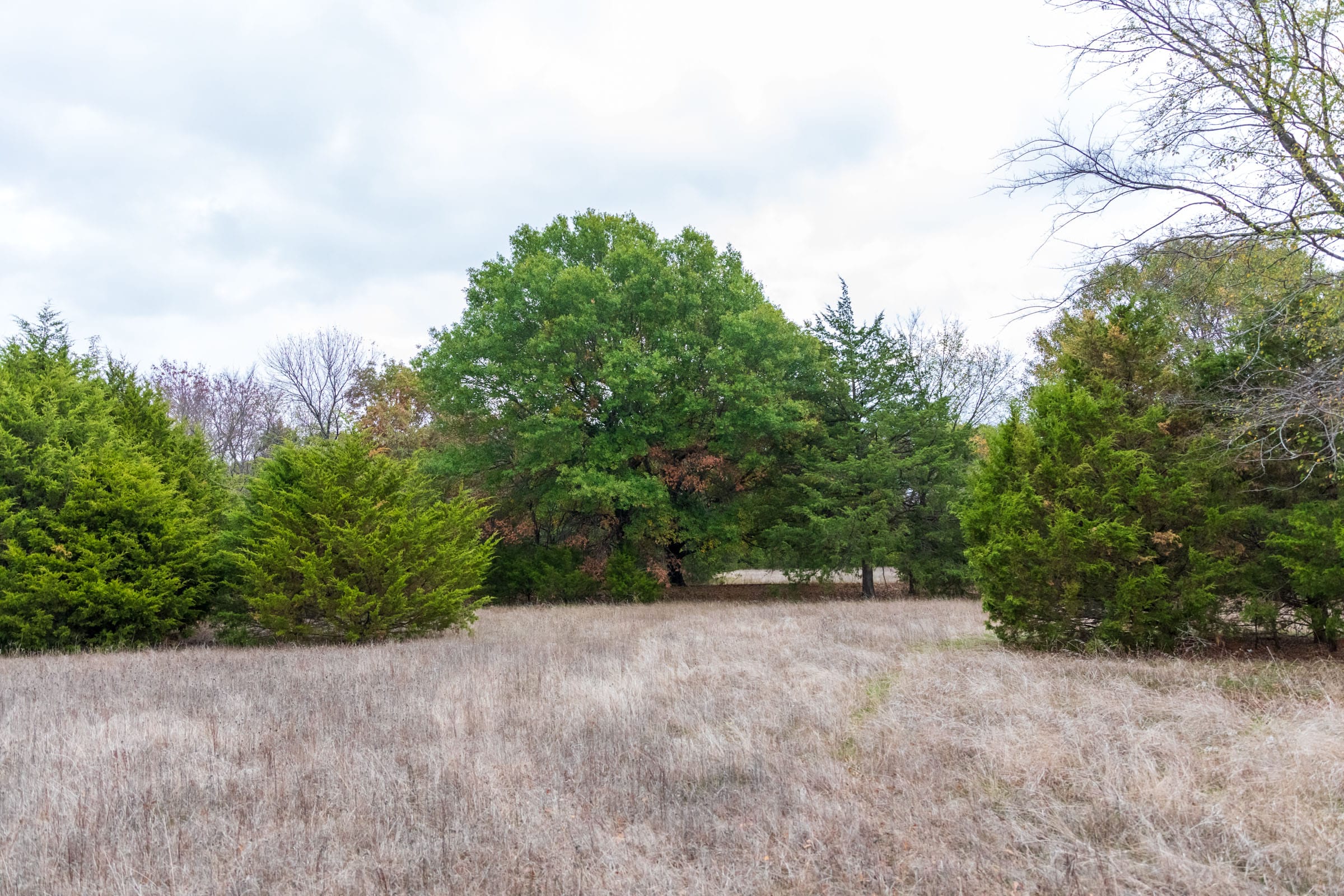 Crystal Springs Tract 6 photo 8