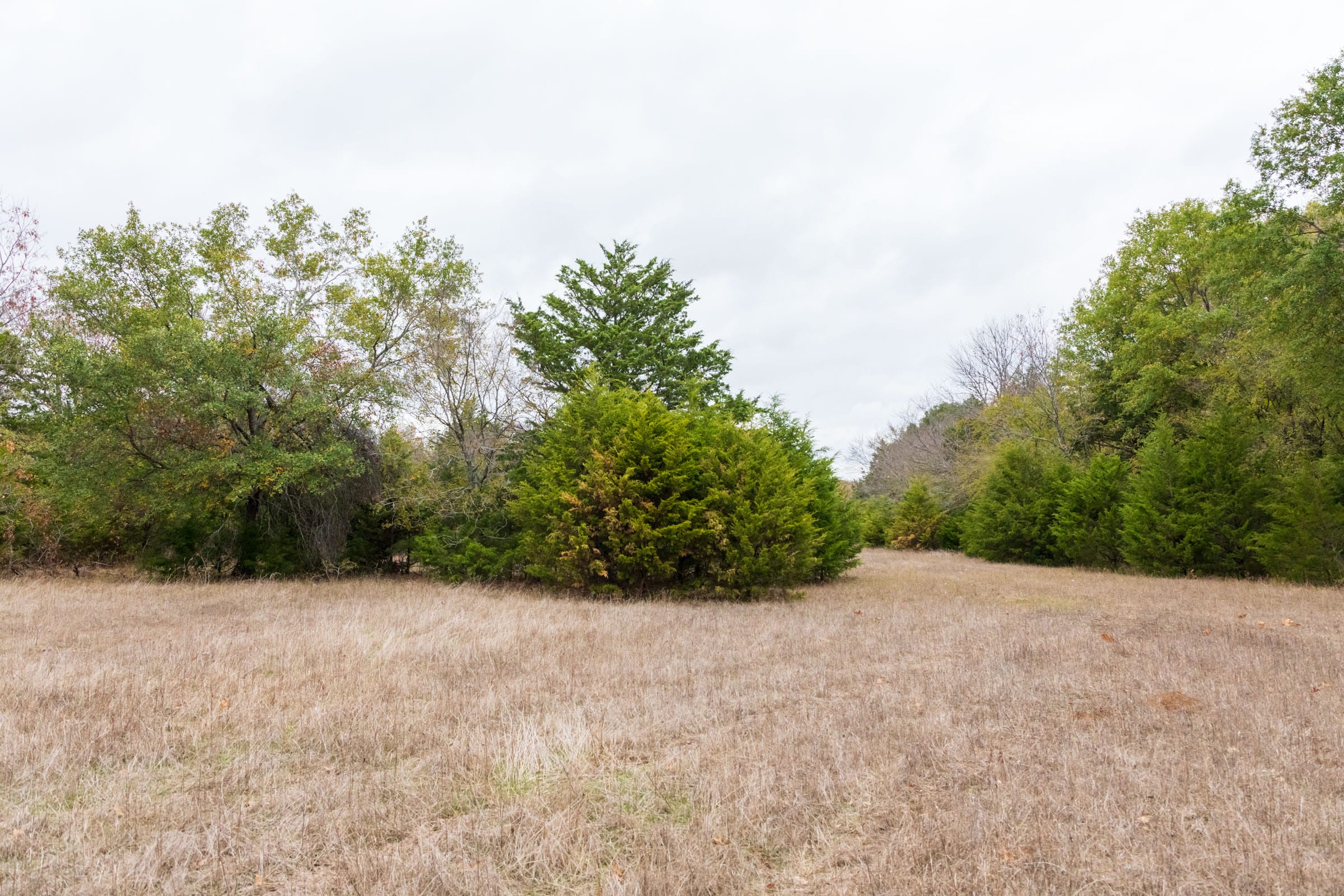 Crystal Springs Tract 6 photo 9