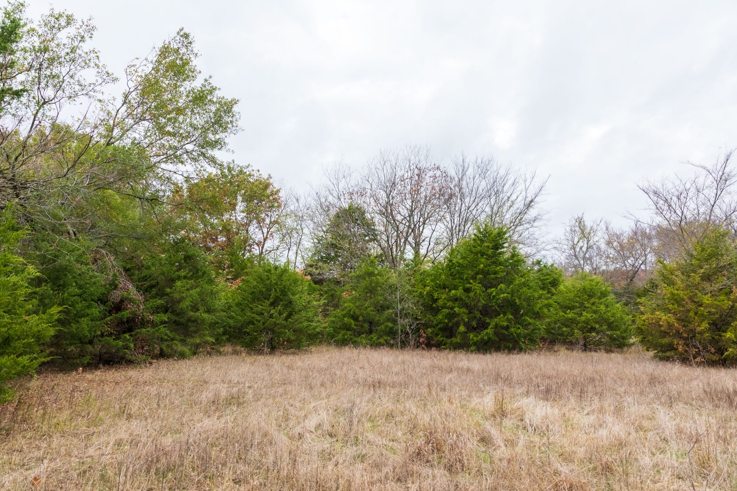 Crystal Springs Tract 6 photo 10