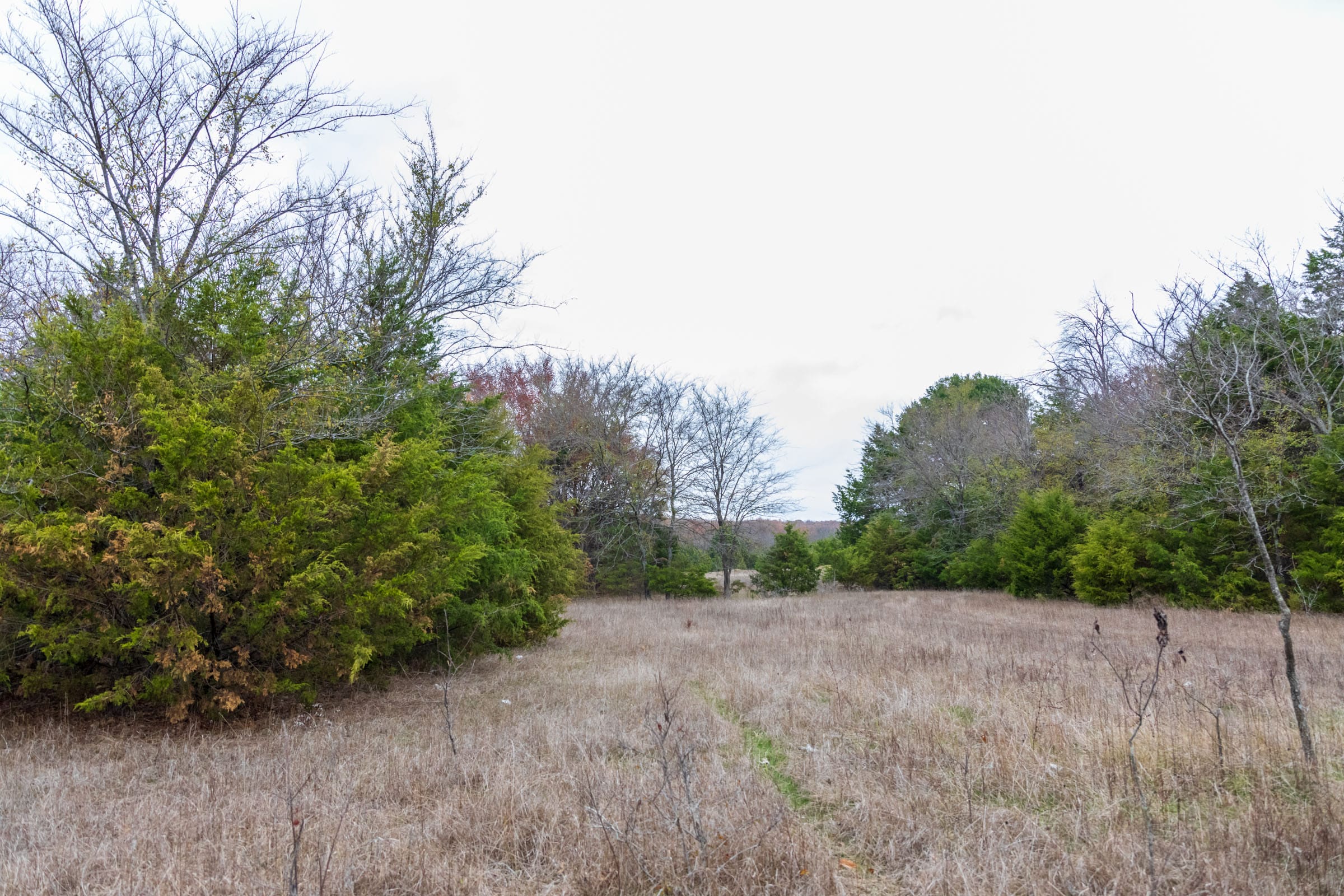 Crystal Springs Tract 6 photo 11