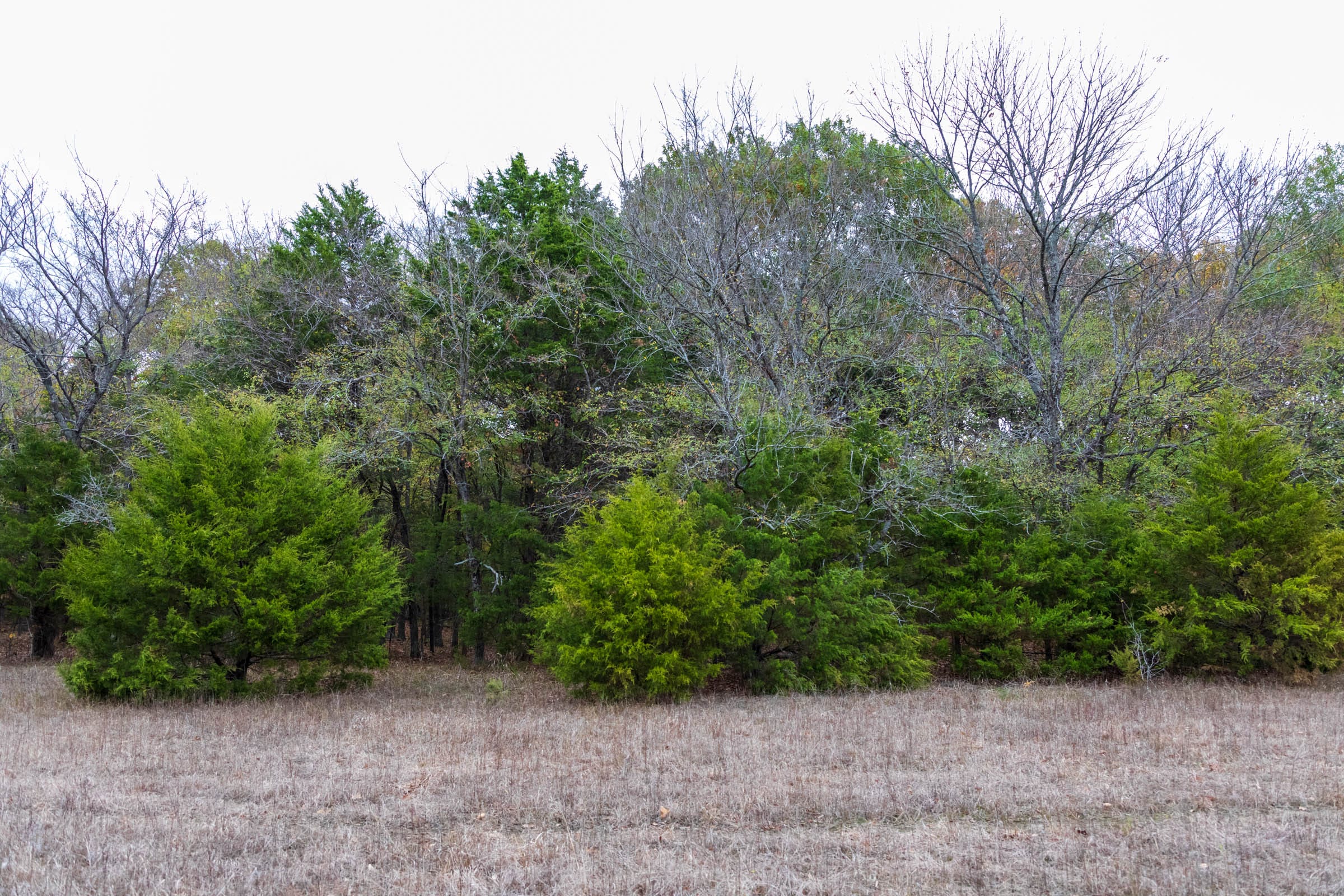 Crystal Springs Tract 6 photo 12