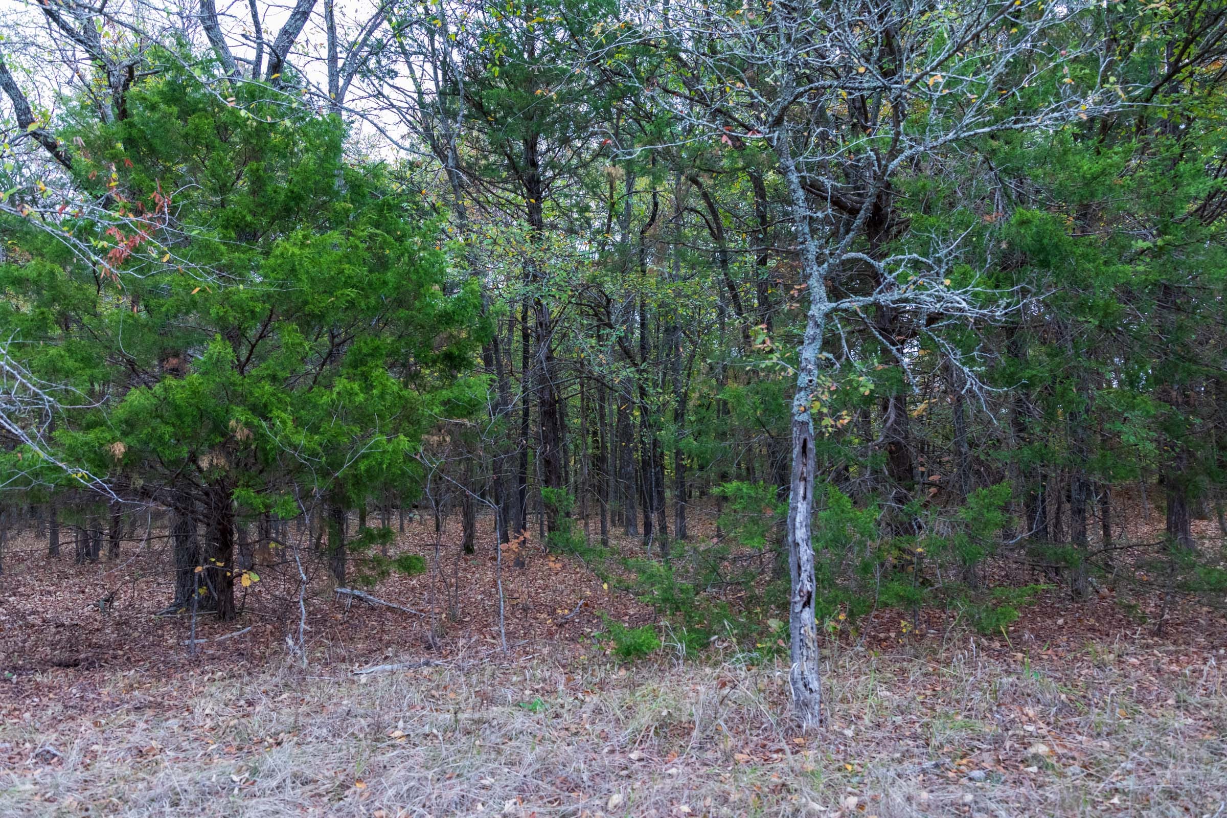 Crystal Springs Tract 6 photo 13