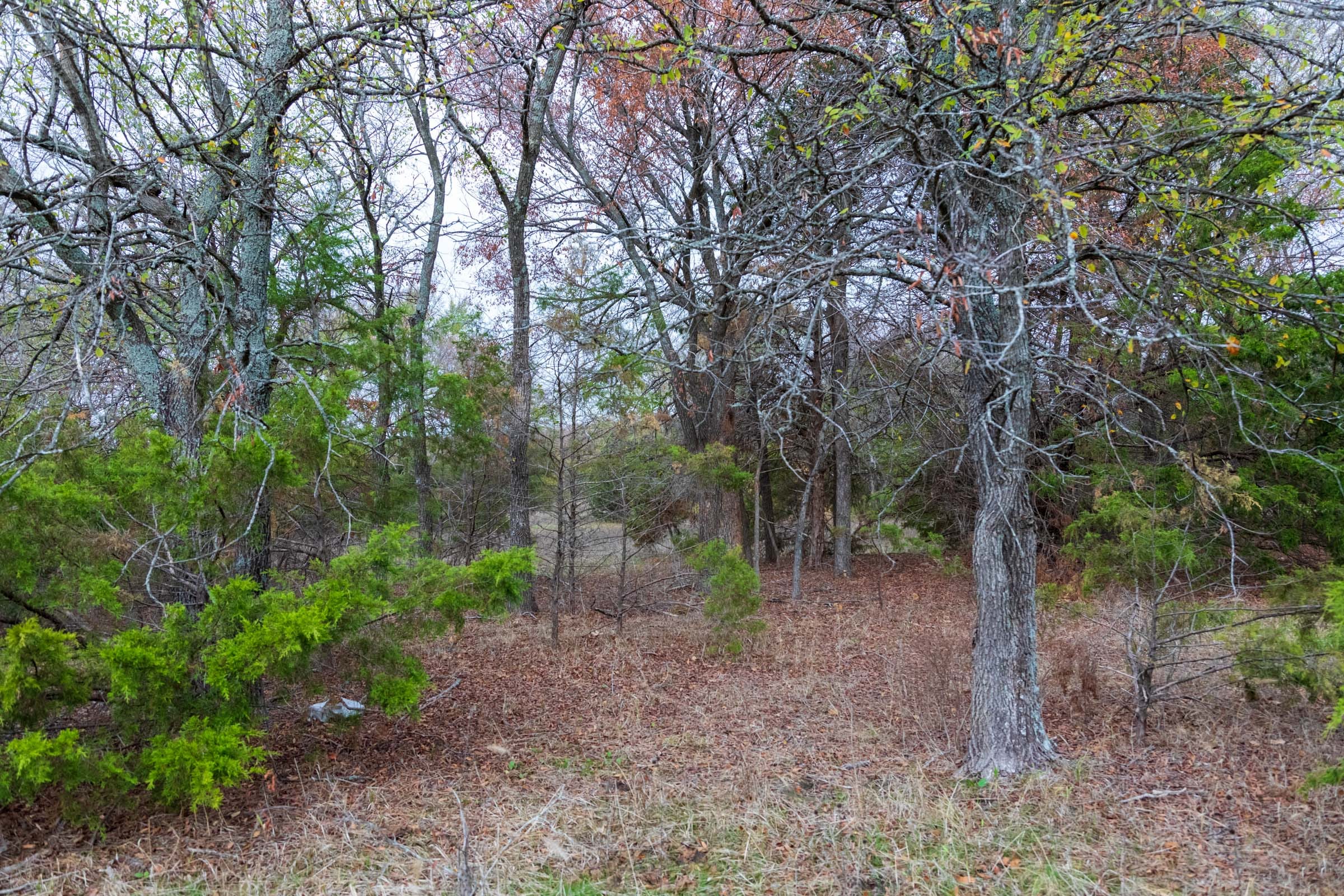 Crystal Springs Tract 6 photo 14