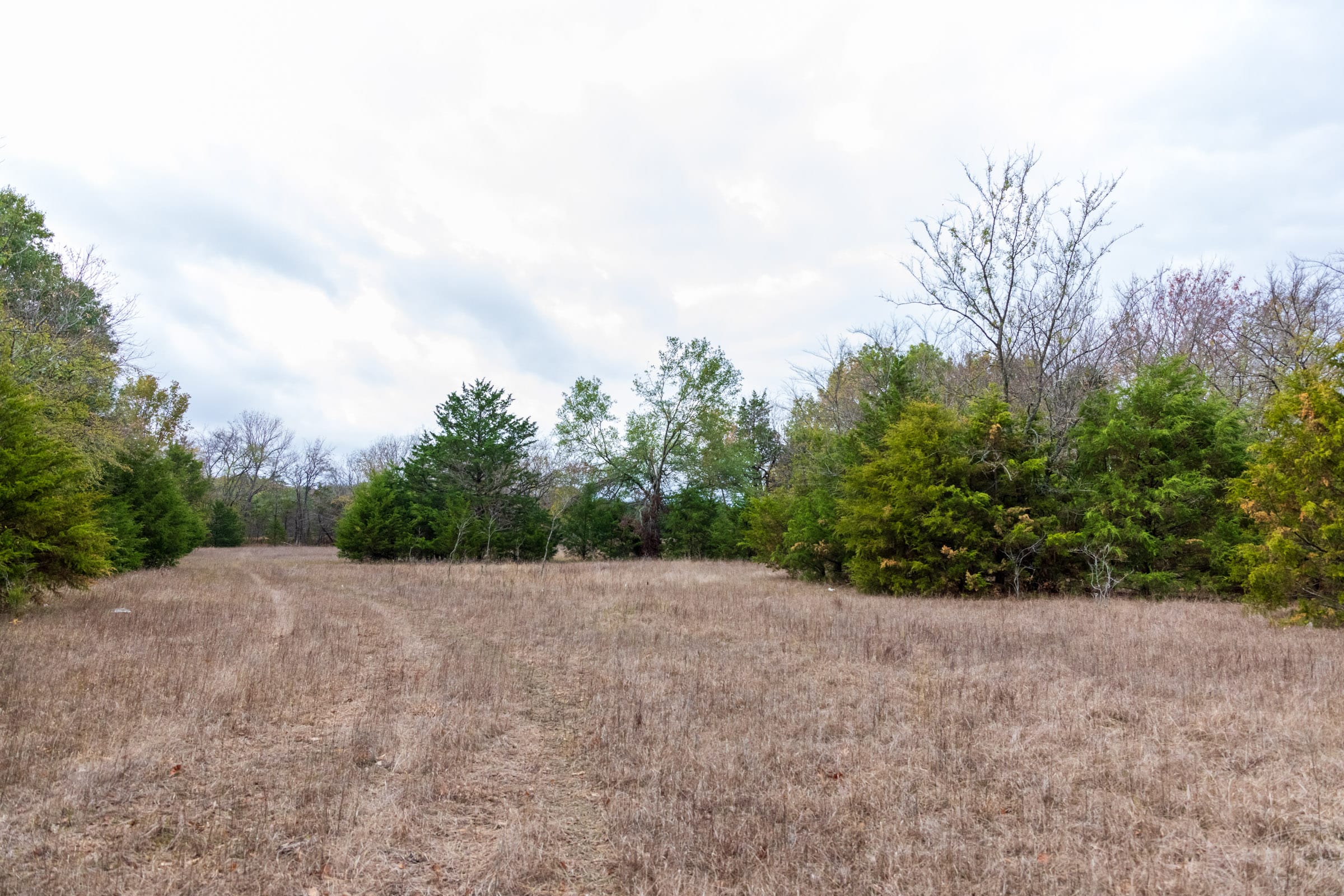 Crystal Springs Tract 6 photo 15