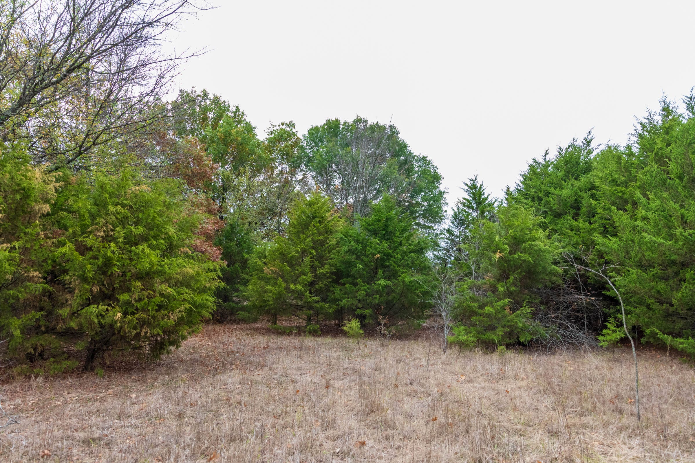 Crystal Springs Tract 6 photo 16