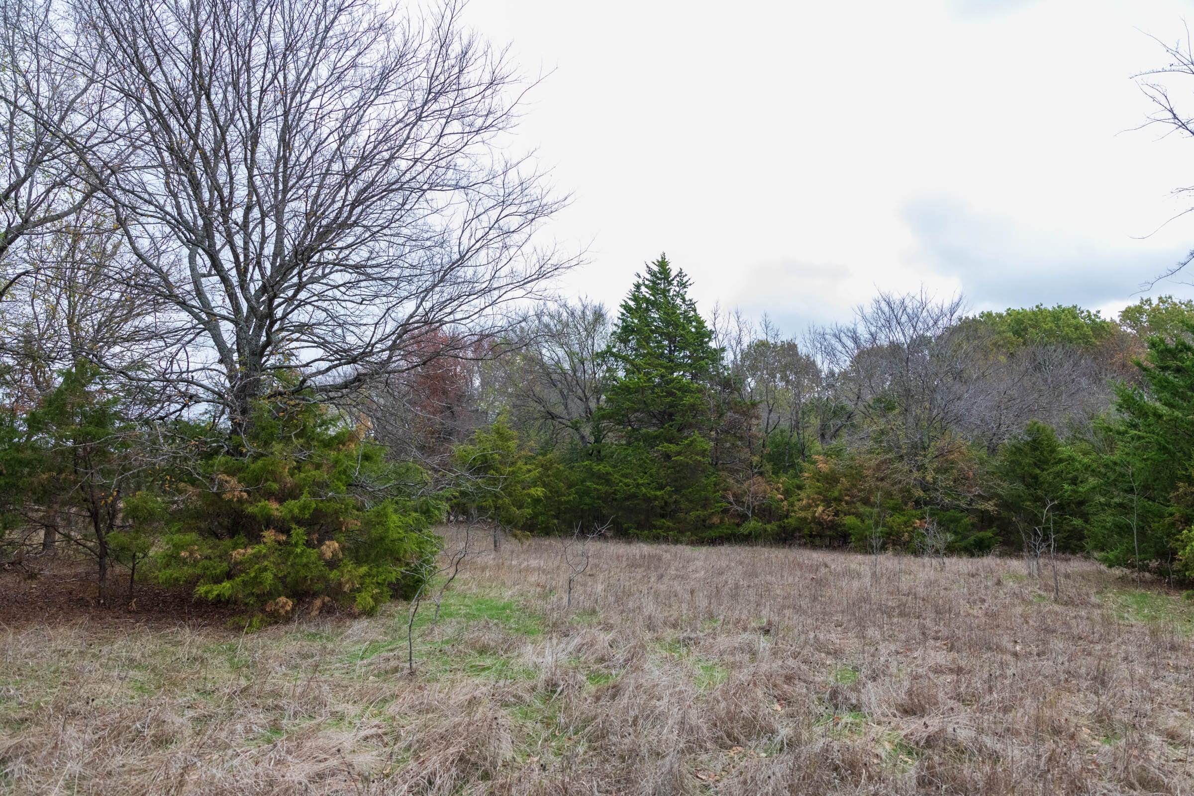 Crystal Springs Tract 6 photo 17