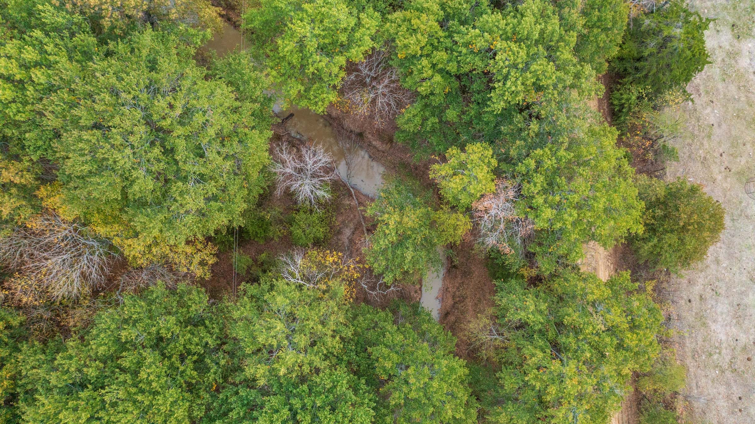 Crystal Springs Tract 6 photo 18