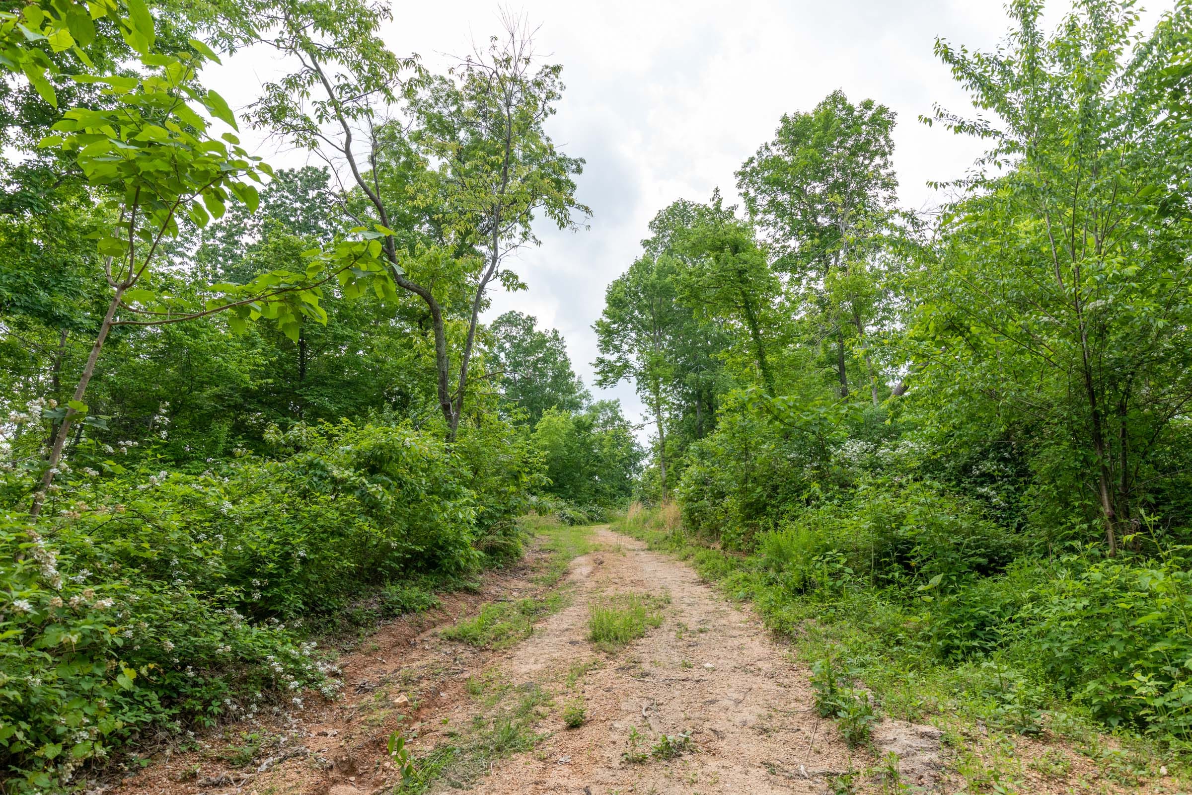 Cedar Creek Tract 26 photo 7