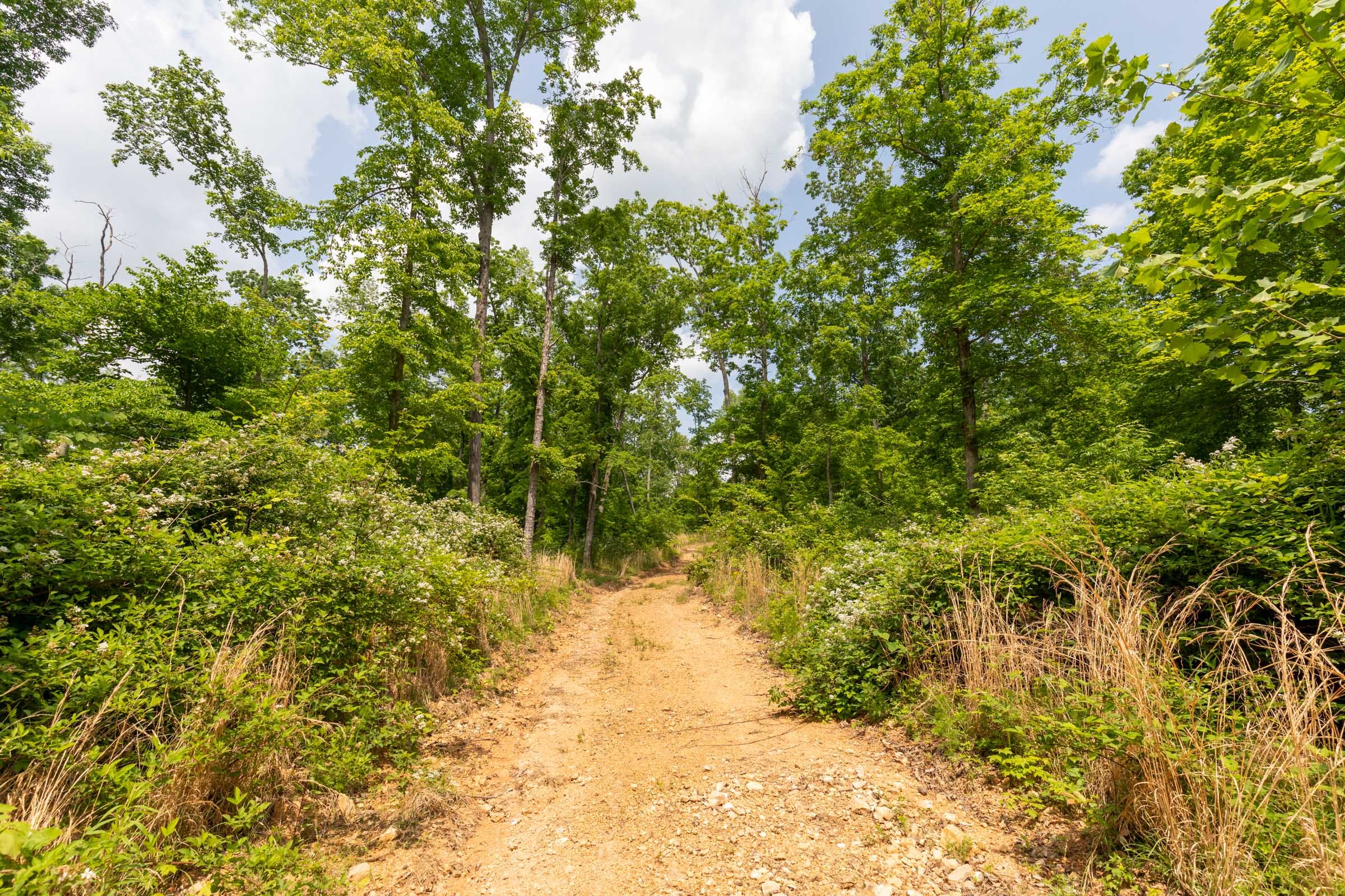 Cedar Creek Tract 26 photo 1