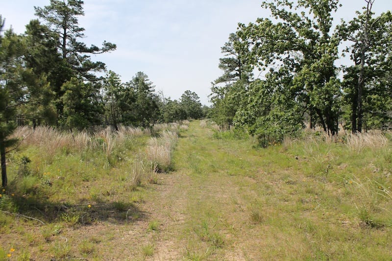 Indian Ridge – Phase II Tract 68 photo 1