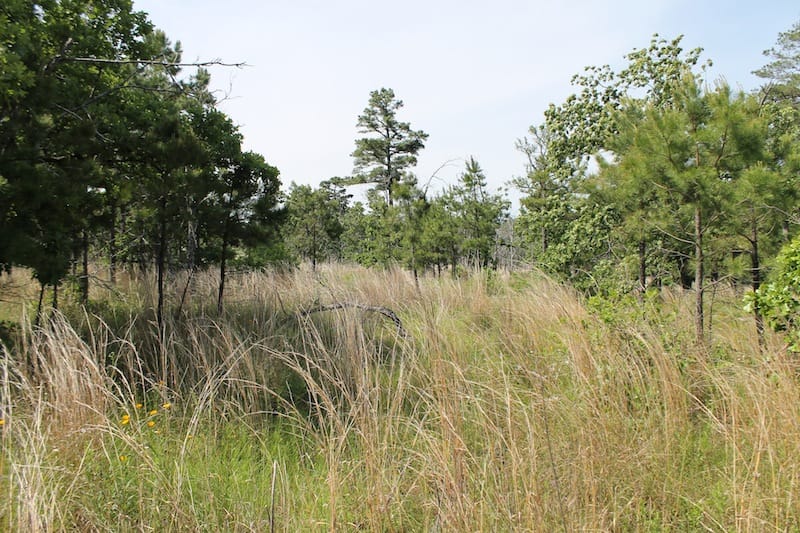 Indian Ridge – Phase II Tract 68 photo 2