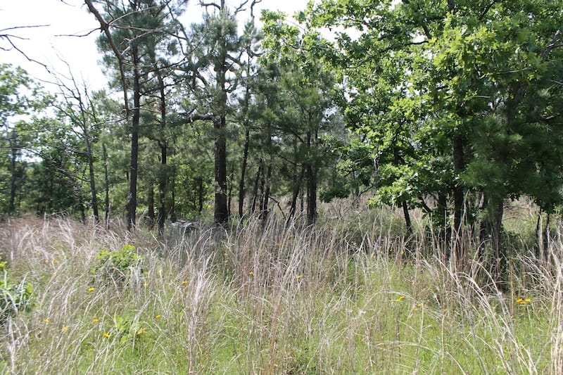 Indian Ridge – Phase II Tract 68 photo 3