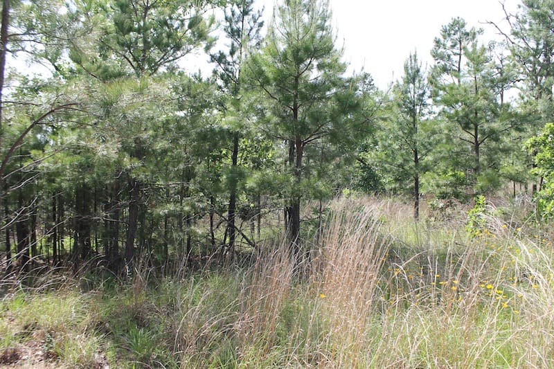 Indian Ridge – Phase II Tract 68 photo 5