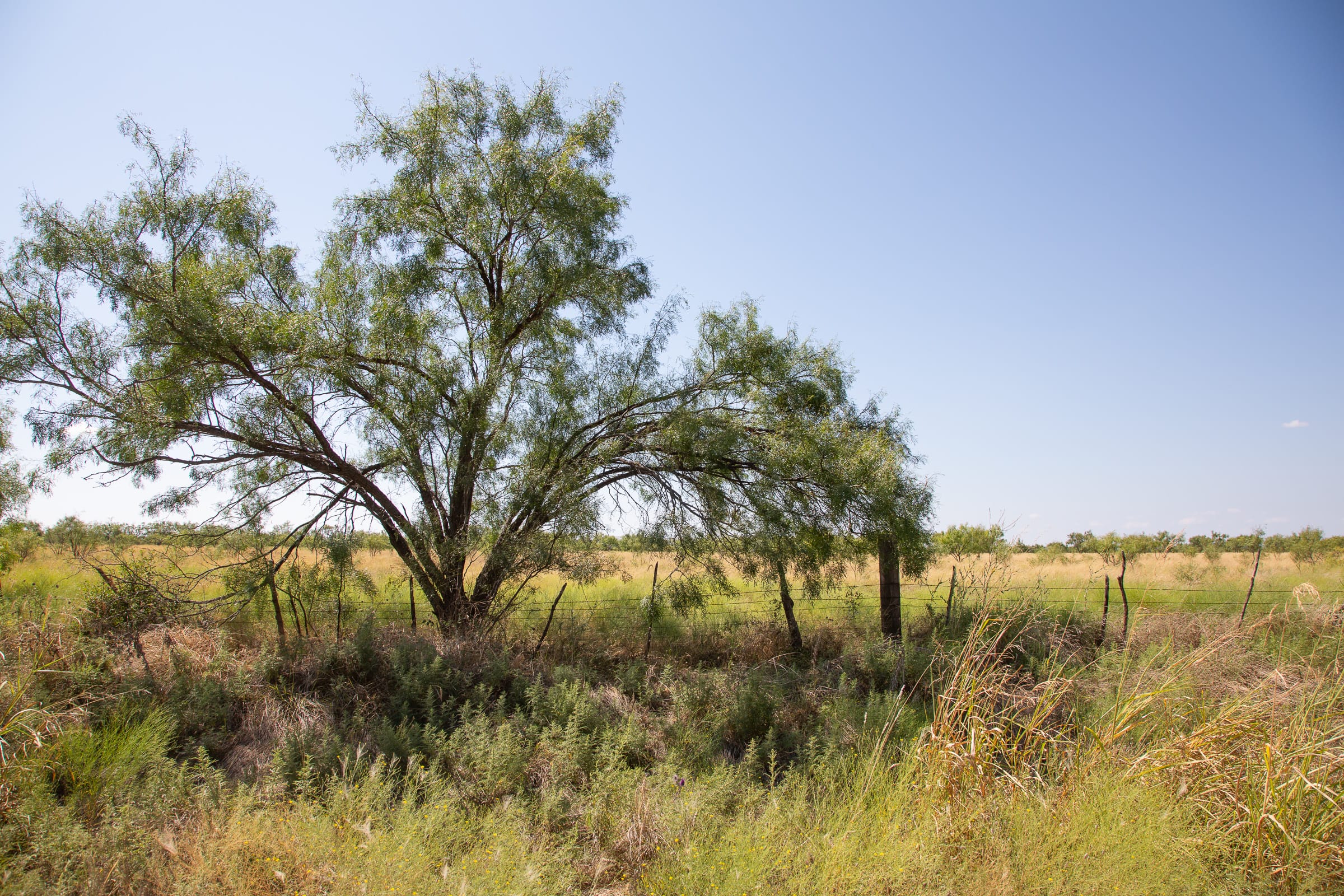 Hunter’s Ranch Tract 7 photo 4