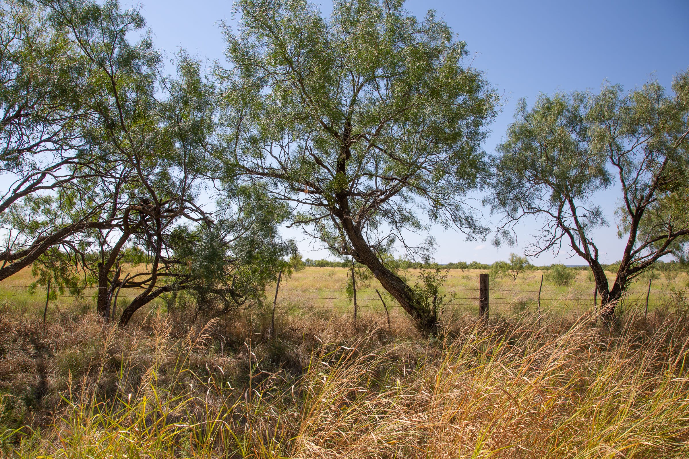Hunter’s Ranch Tract 7 photo 5