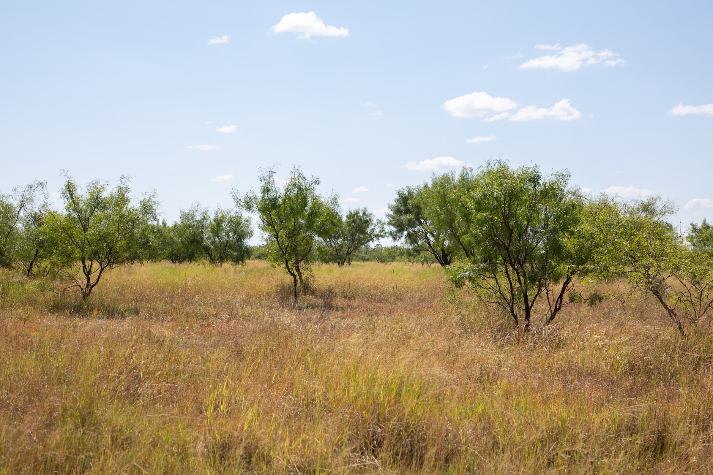 Hunter’s Ranch Tract 7 photo 7
