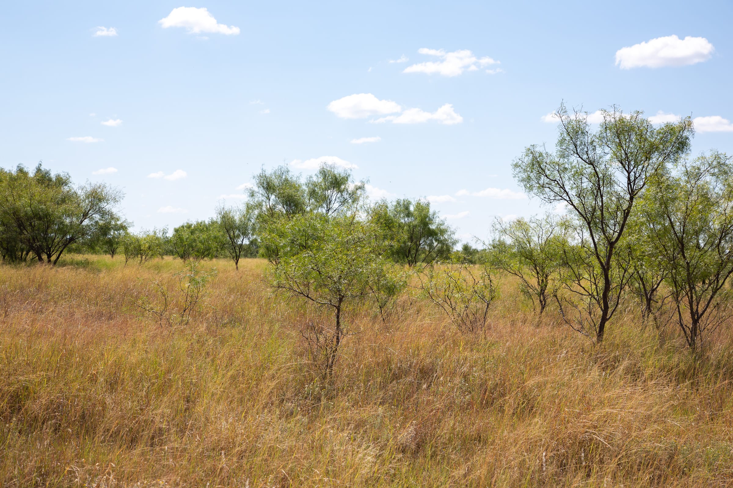 Hunter’s Ranch Tract 7 photo 8