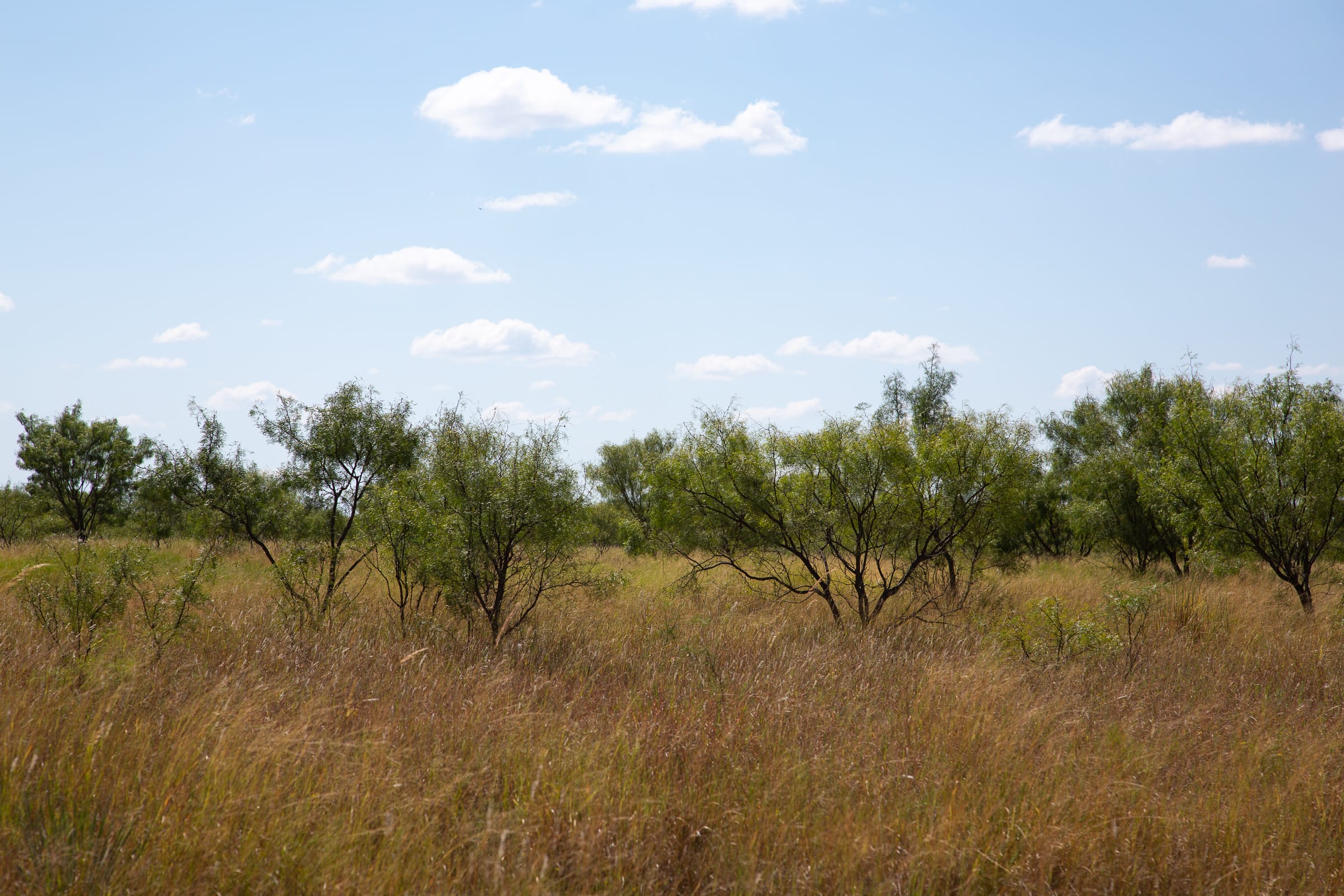 Hunter’s Ranch Tract 7 photo 9
