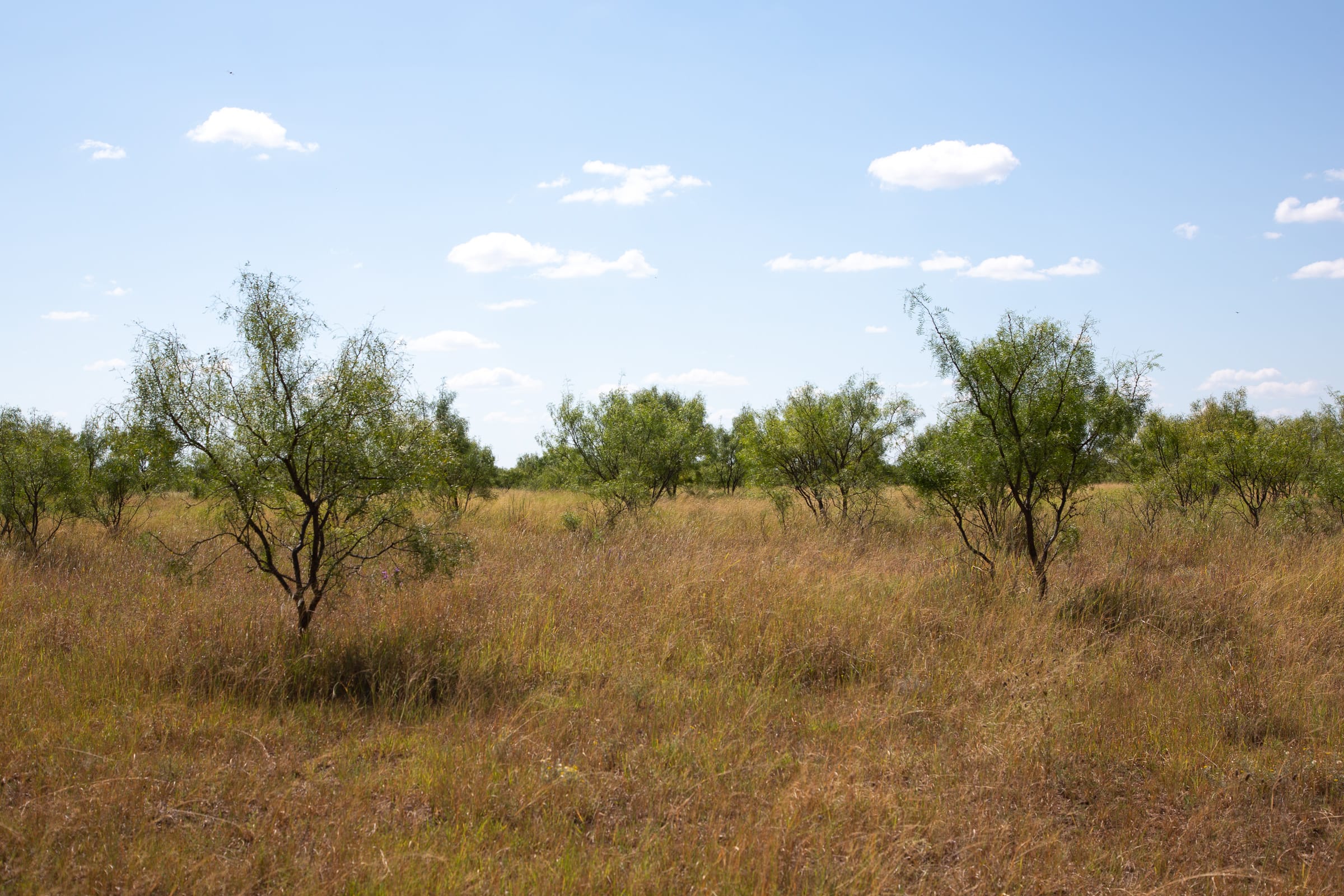 Hunter’s Ranch Tract 7 photo 10