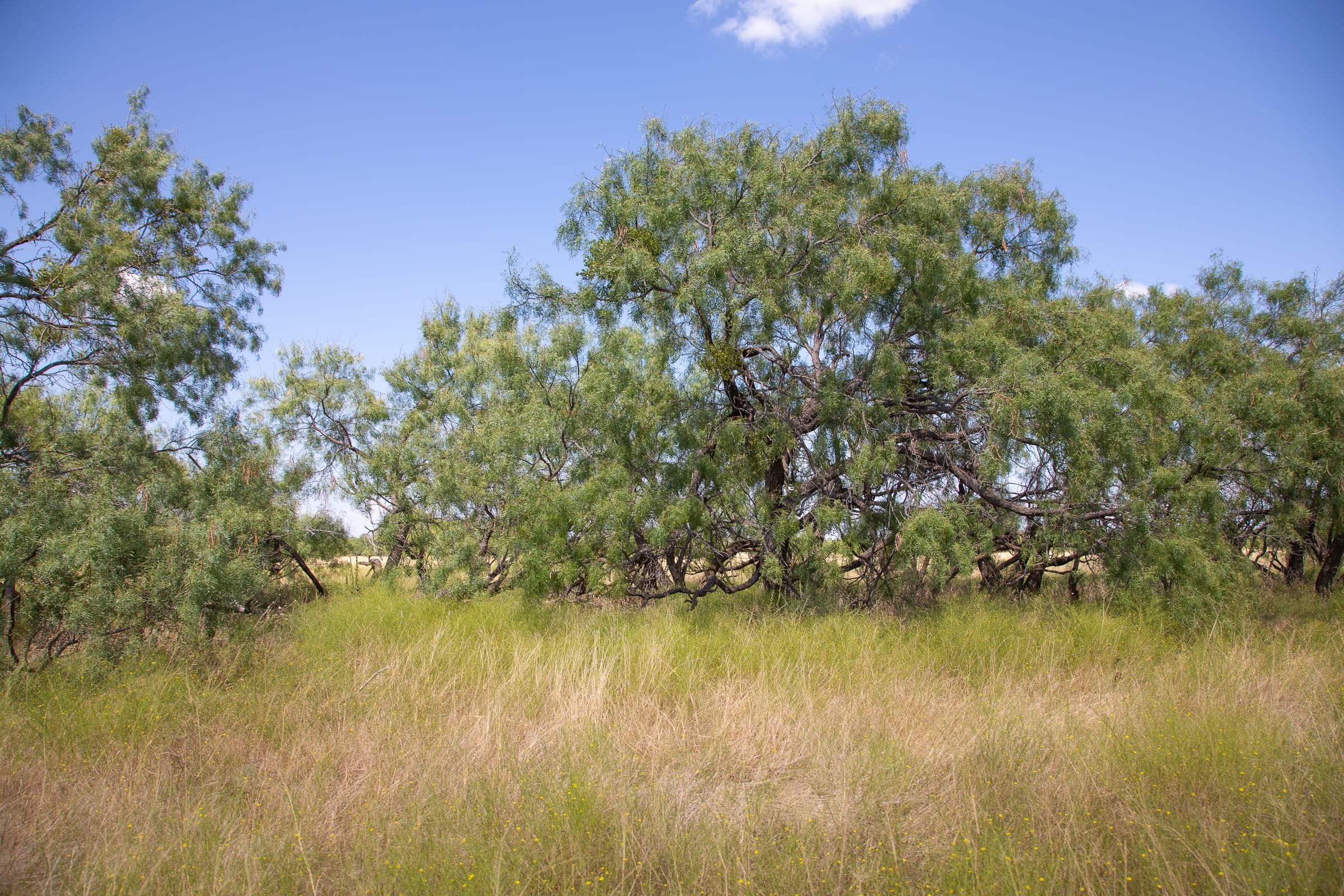 Hunter’s Ranch Tract 7 photo 11