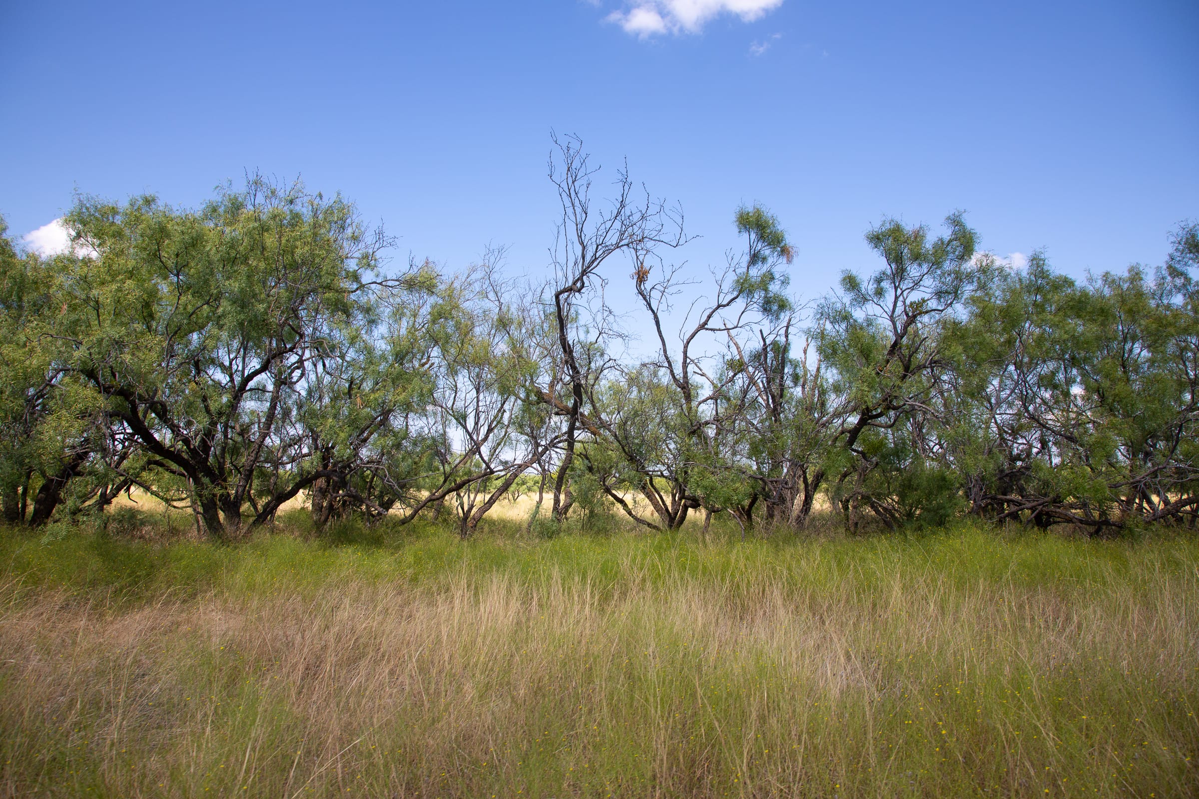 Hunter’s Ranch Tract 7 photo 12