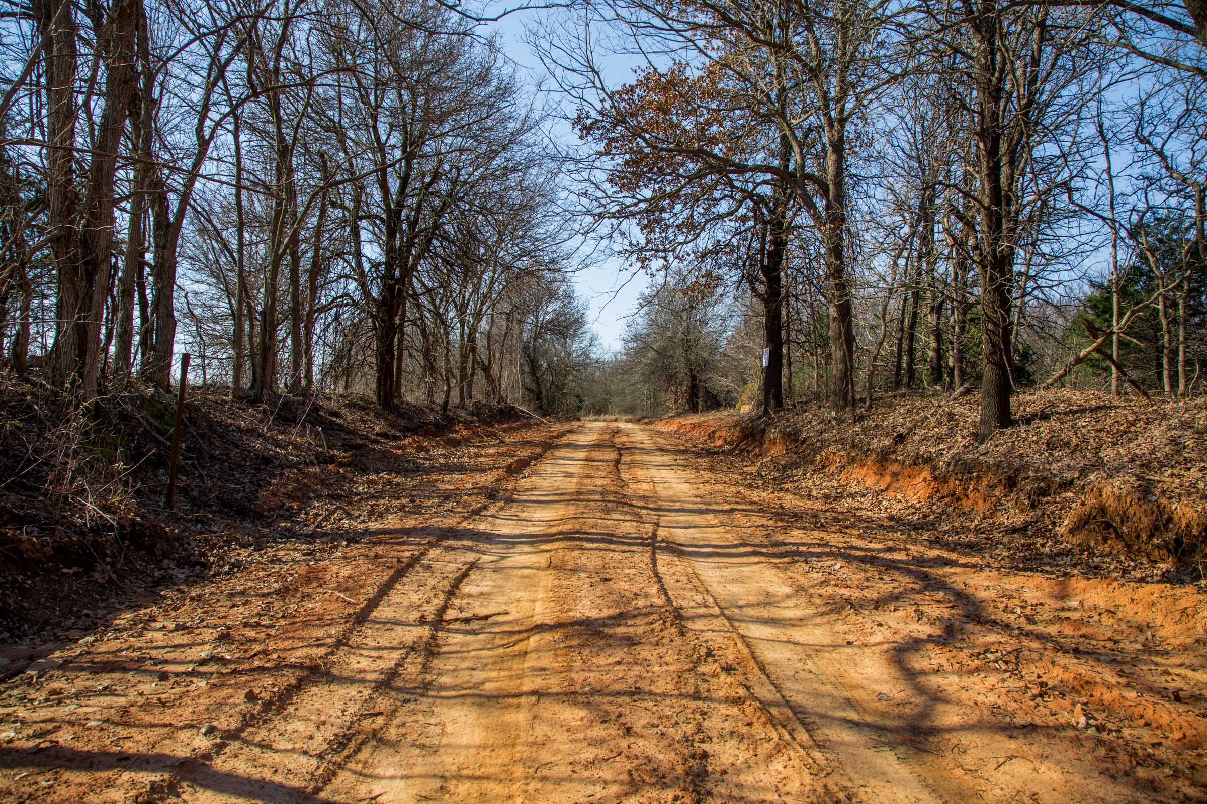 Eufaula Cove Tract 17 photo 3