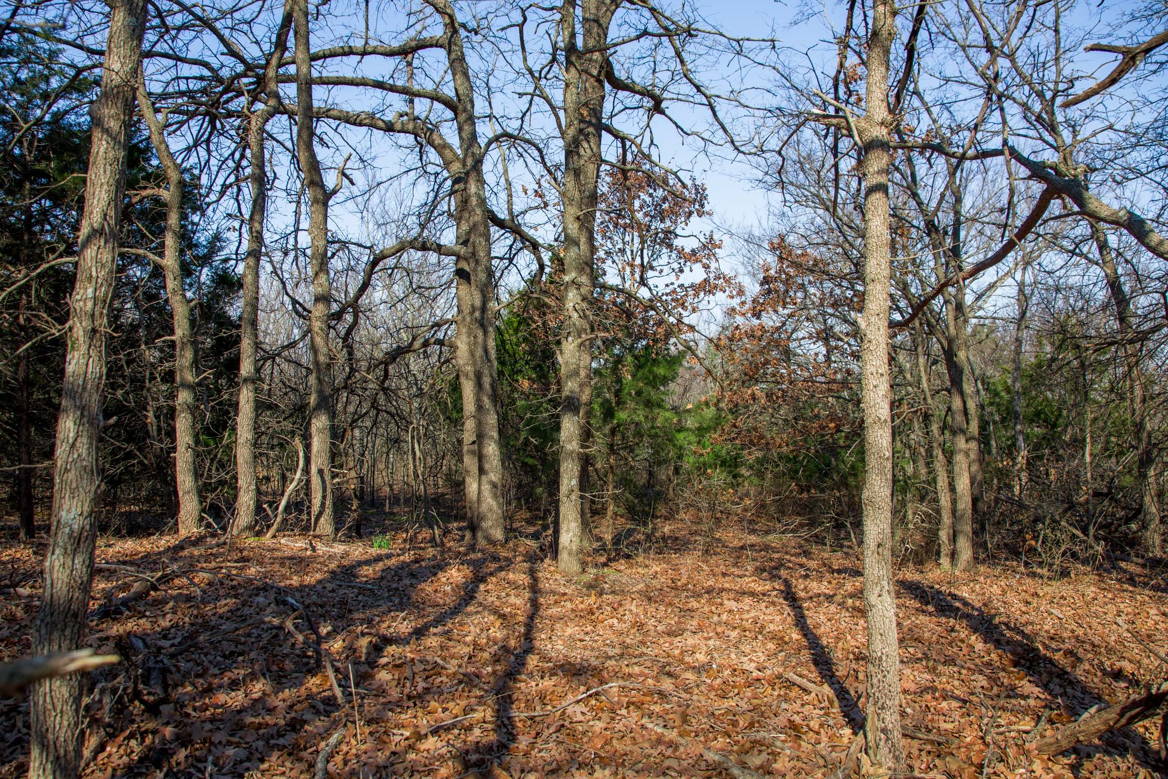 Eufaula Cove Tract 17 photo 1