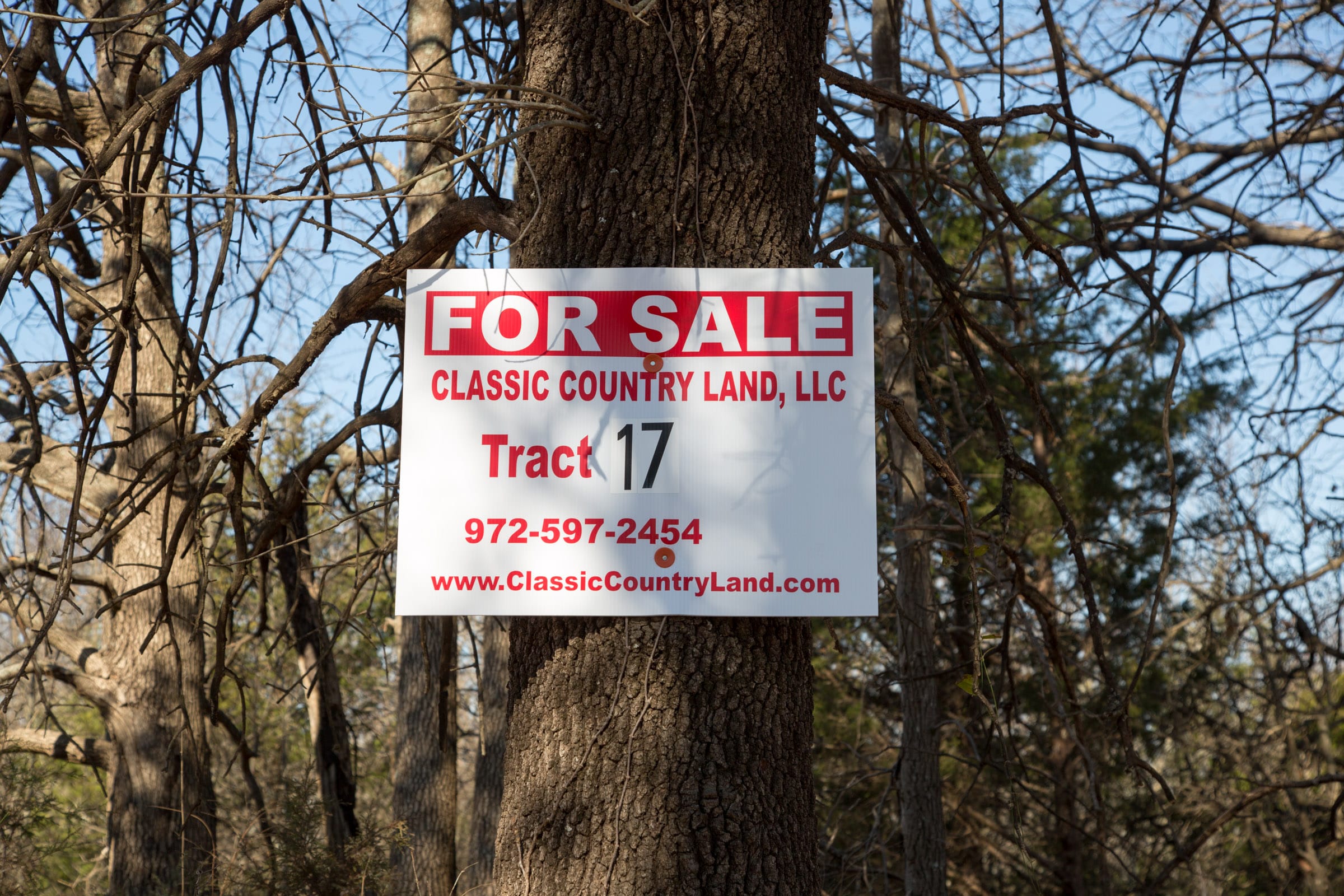 Eufaula Cove Tract 17 photo 2