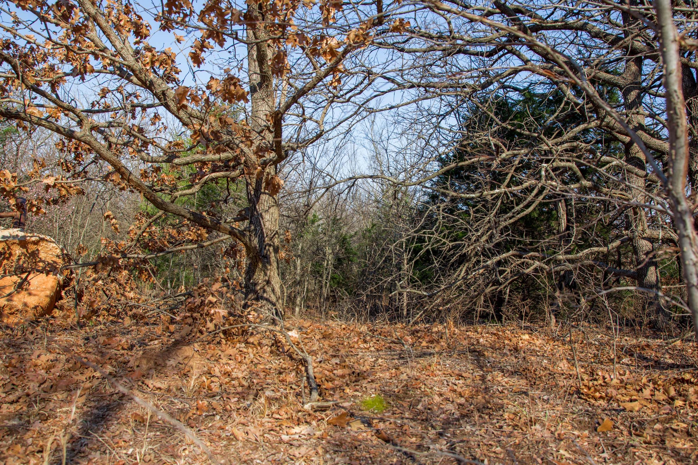 Eufaula Cove Tract 17 photo 5