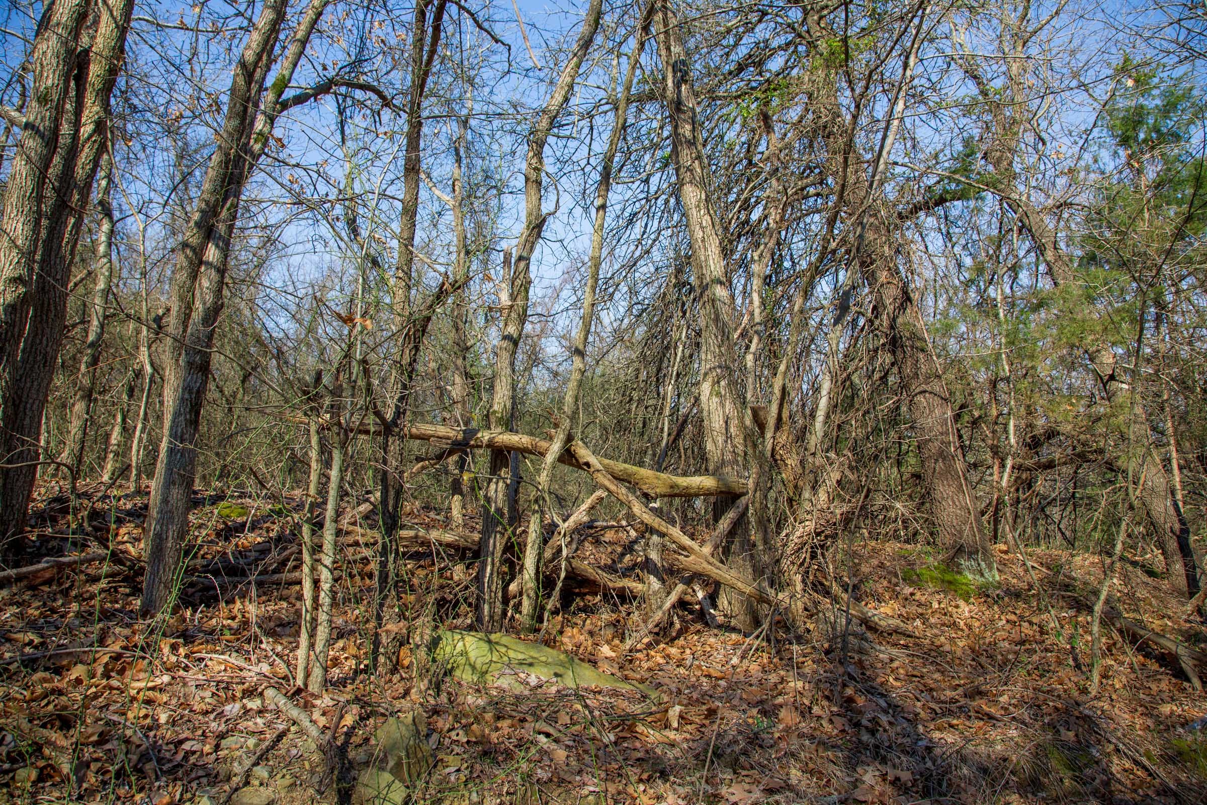 Eufaula Cove Tract 17 photo 7