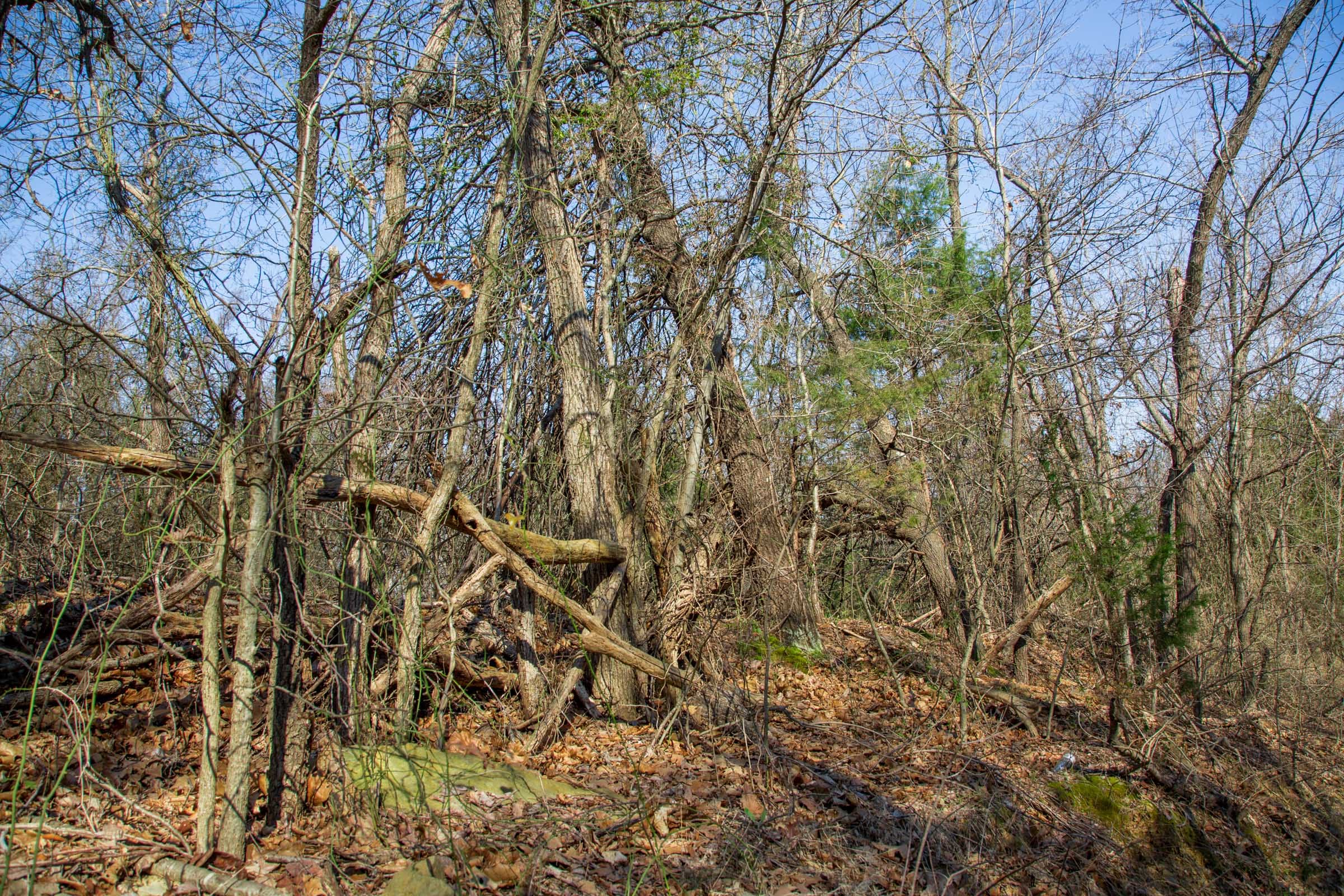 Eufaula Cove Tract 17 photo 8
