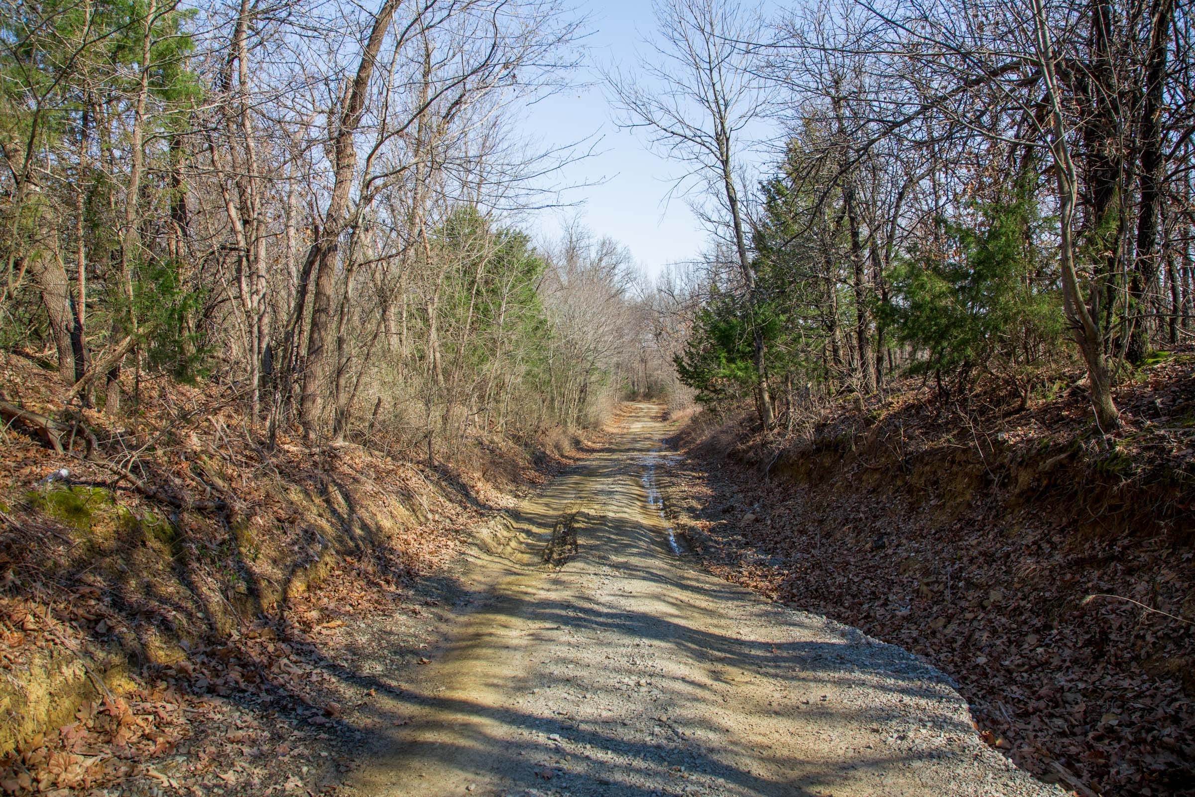 Eufaula Cove Tract 17 photo 9